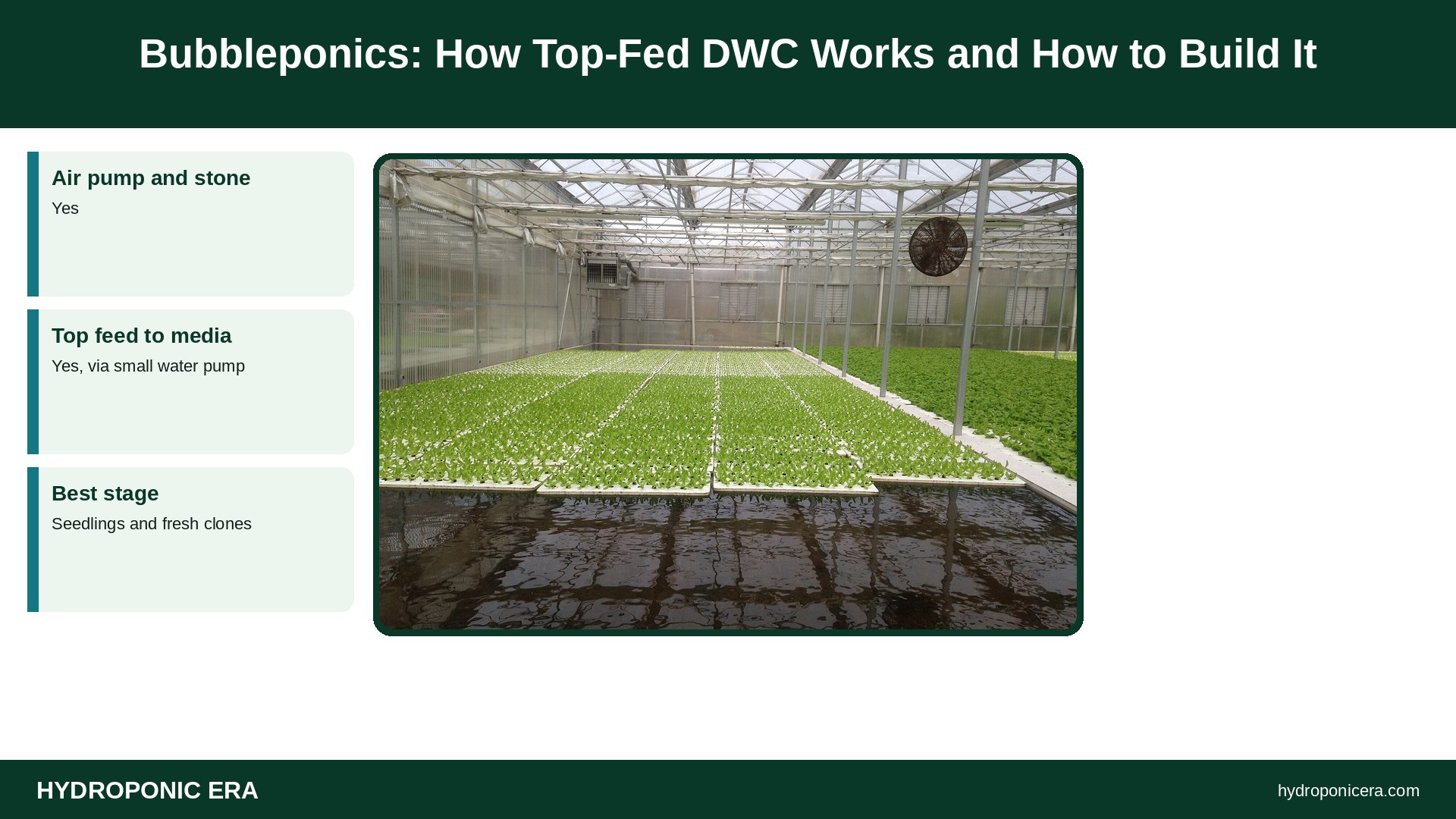 bubbleponics — Bubbleponics: How Top-Fed DWC Works and How to Build It