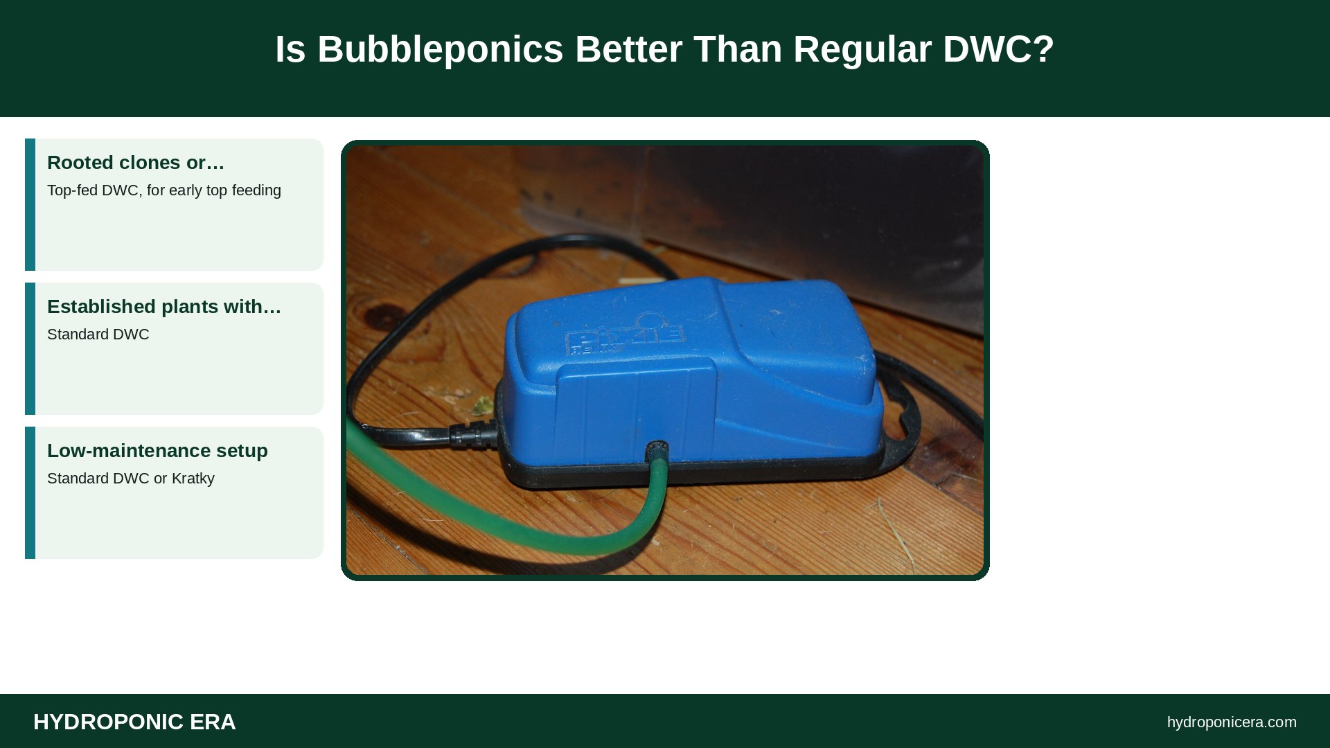 bubbleponics — Is Bubbleponics Better Than Regular DWC?