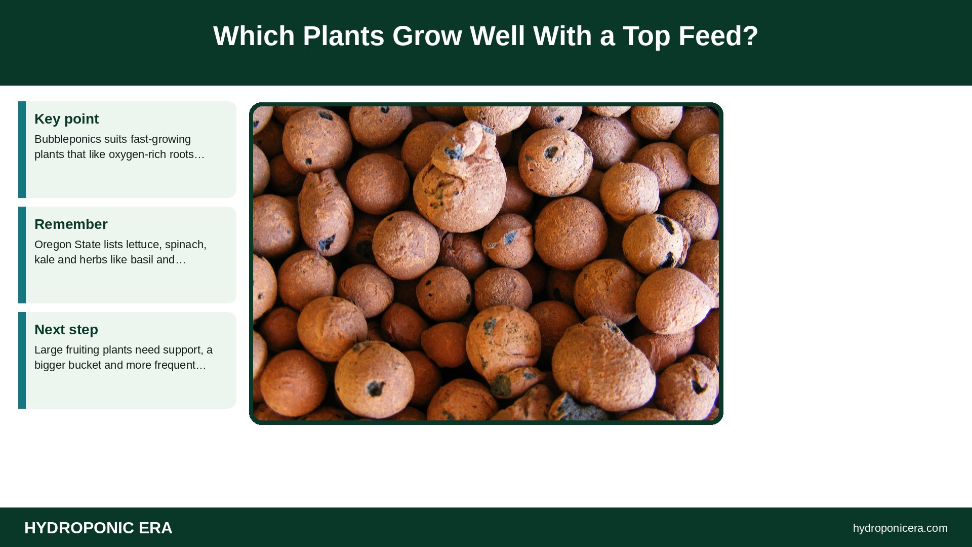 bubbleponics — Which Plants Grow Well With a Top Feed?