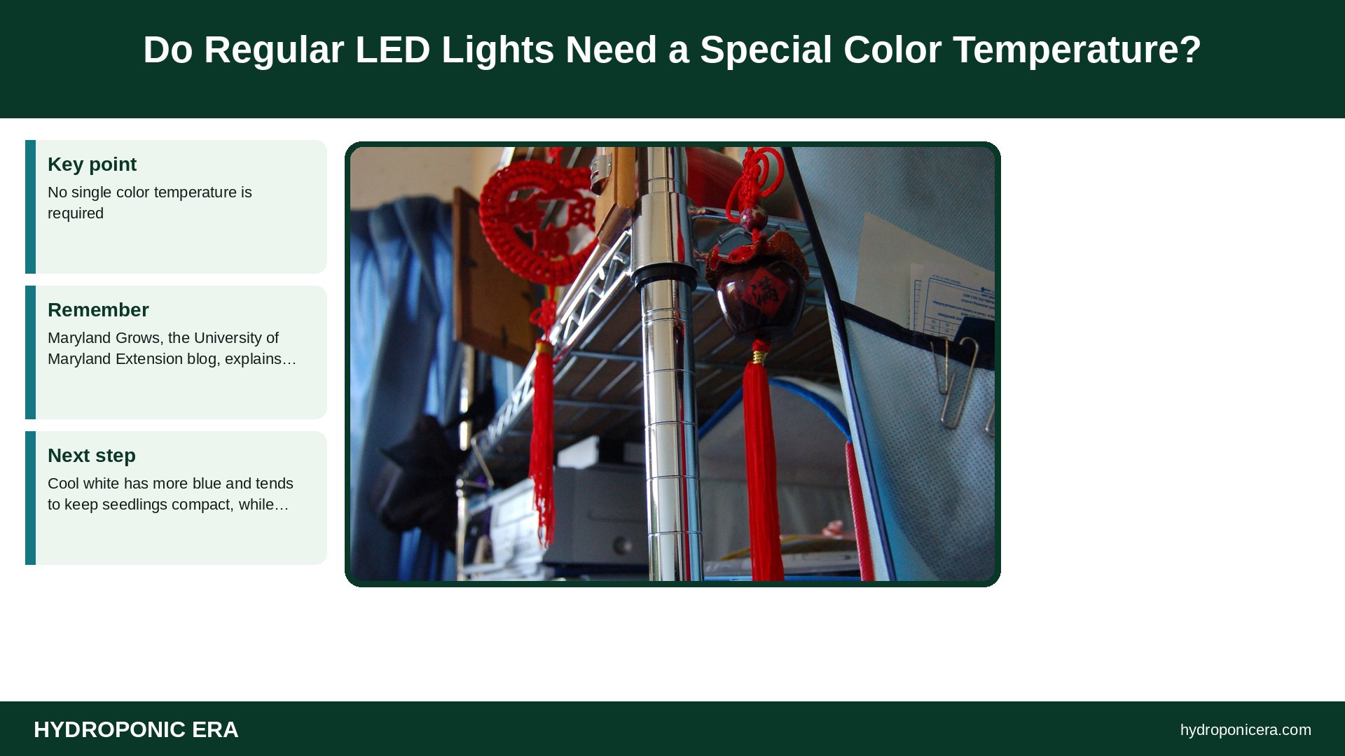 regular led lights grow plants — Do Regular LED Lights Need a Special Color Temperature?