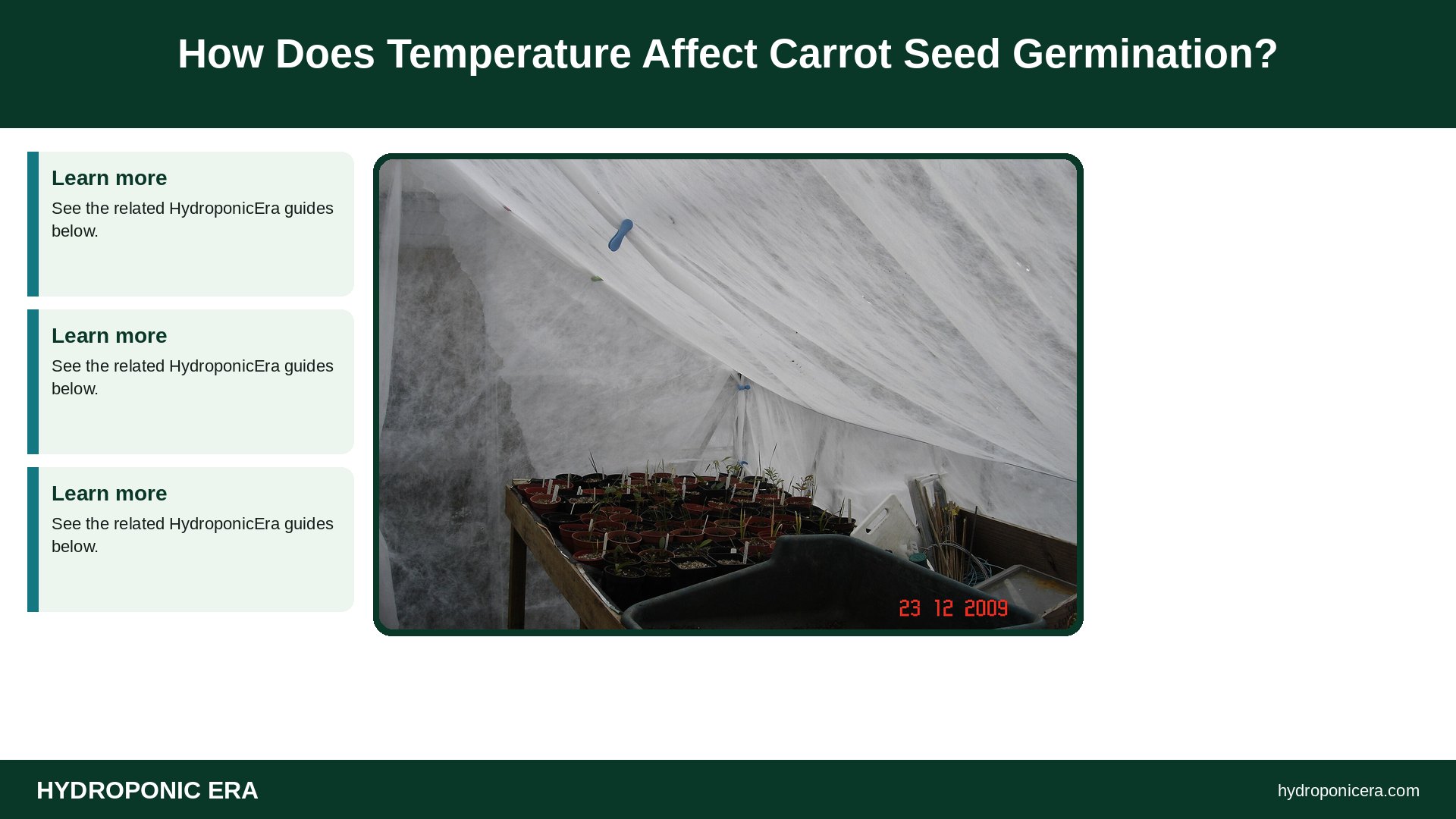 carrot microgreens — How Does Temperature Affect Carrot Seed Germination?