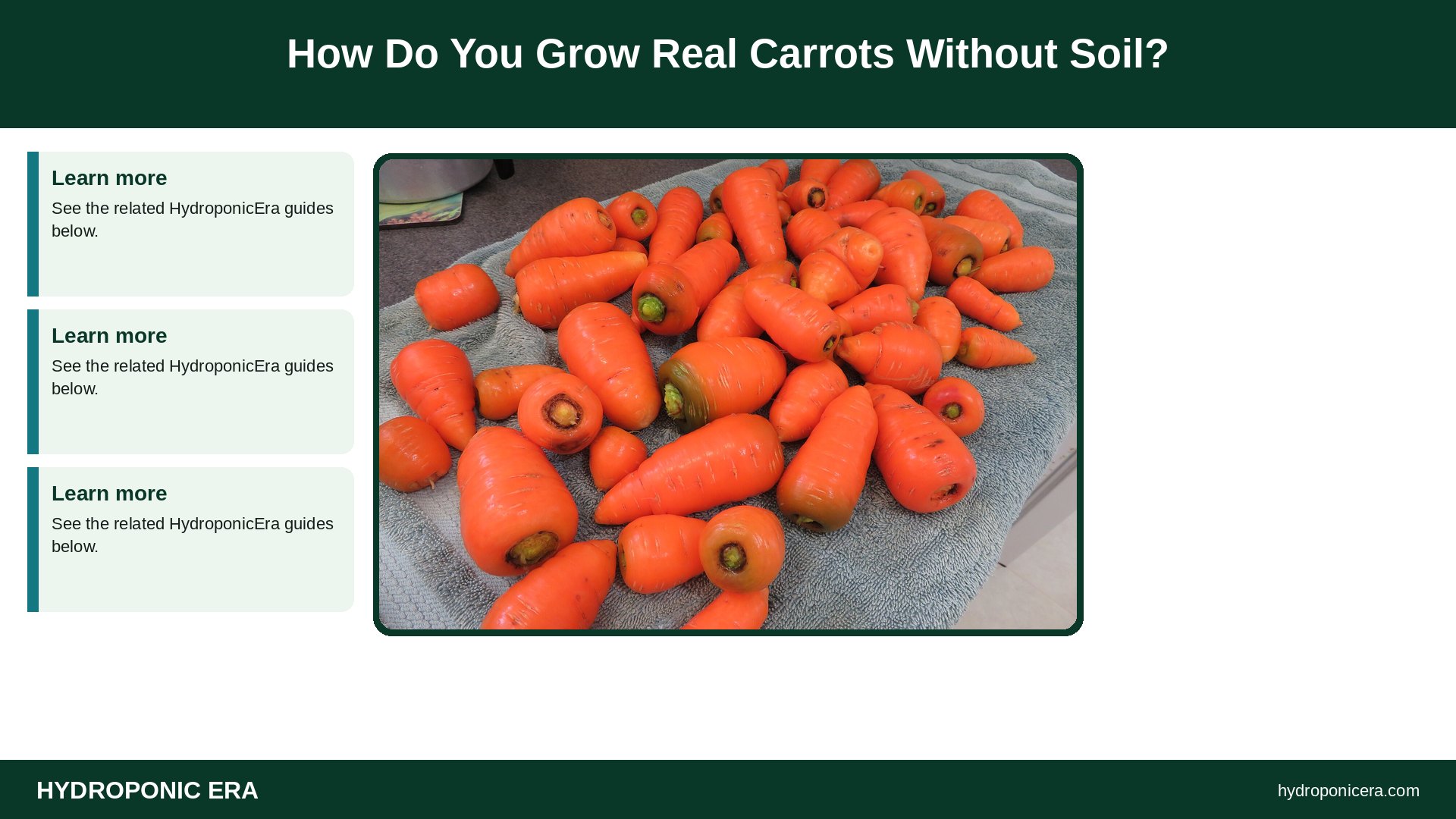 carrot tops in water — How Do You Grow Real Carrots Without Soil?