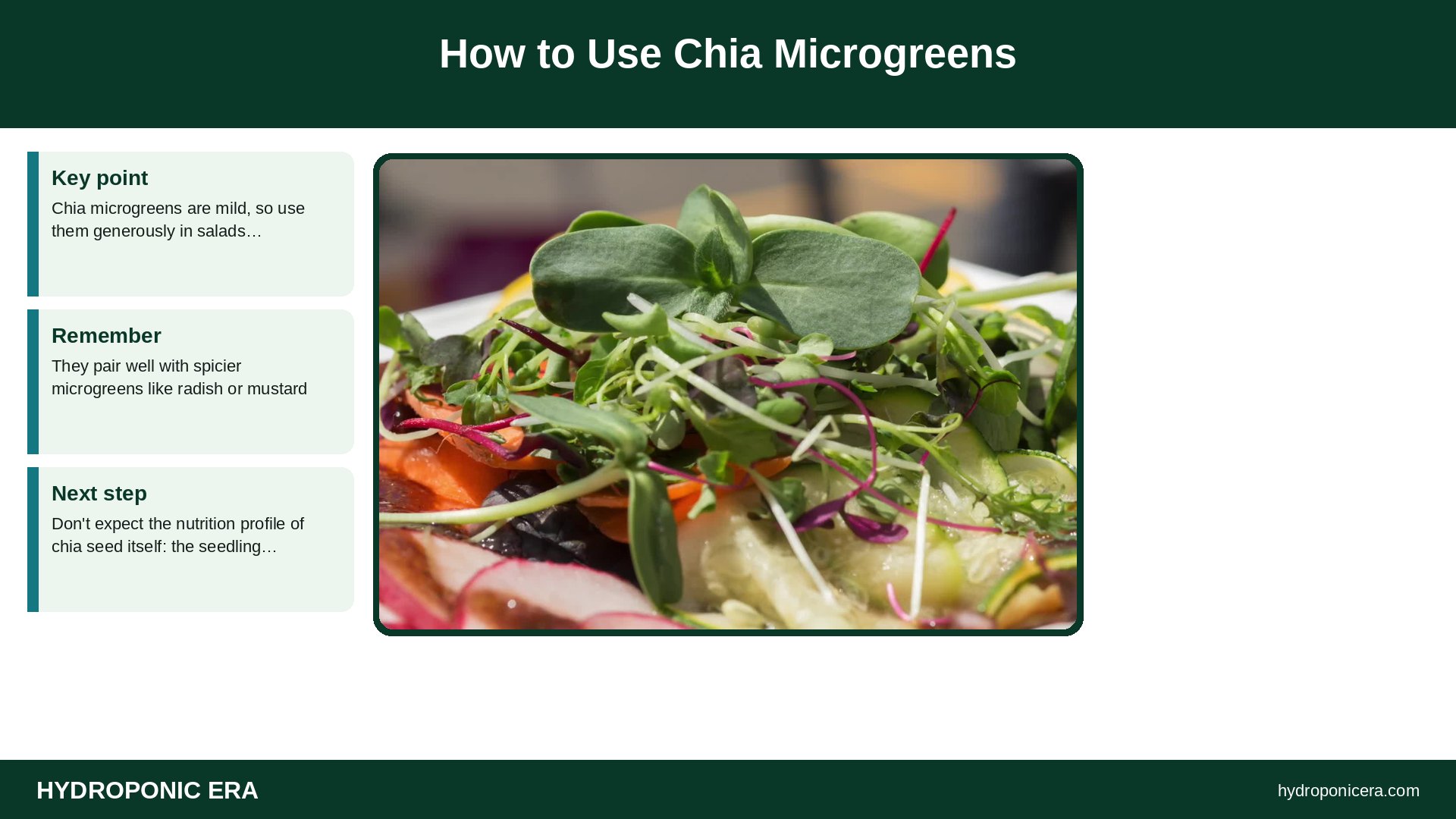 chia microgreens — How to Use Chia Microgreens