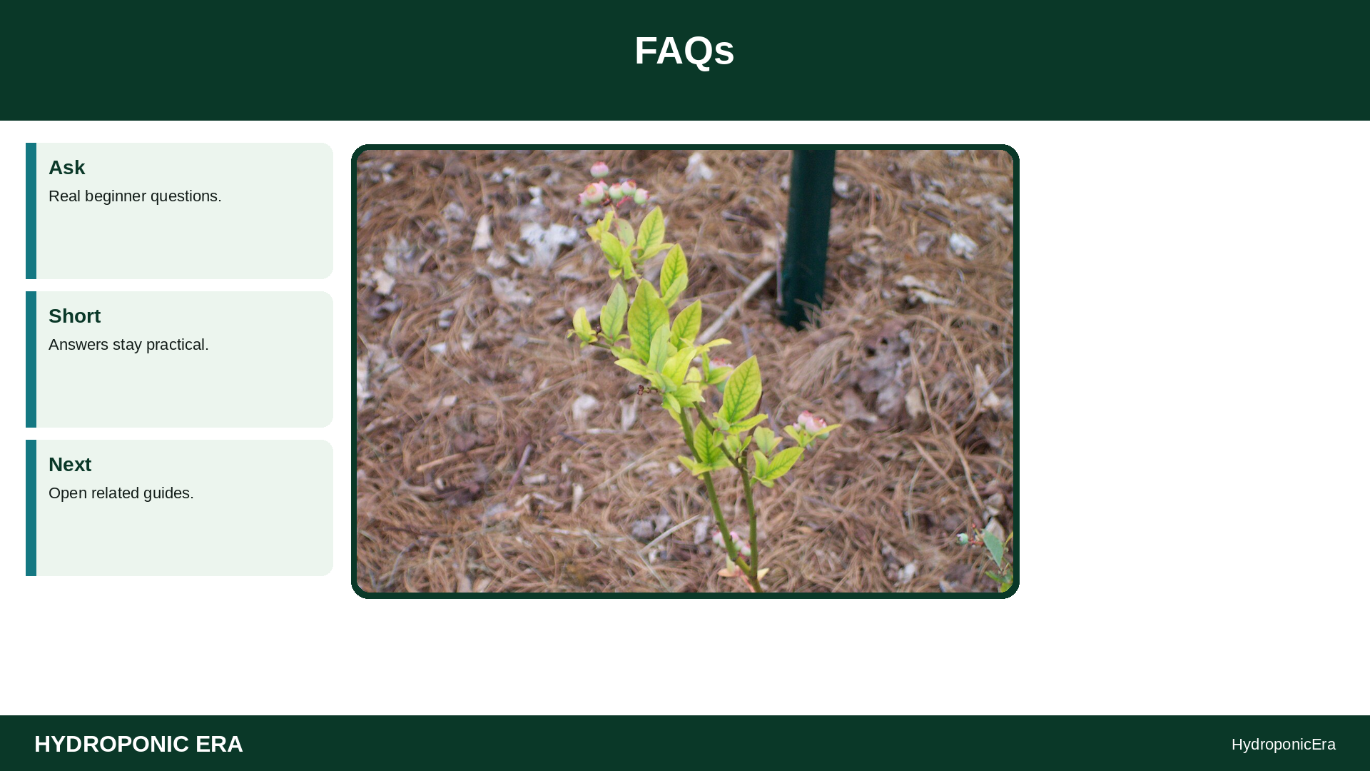 chlorosis after reservoir change — yellow leaves after nutrient change — FAQs