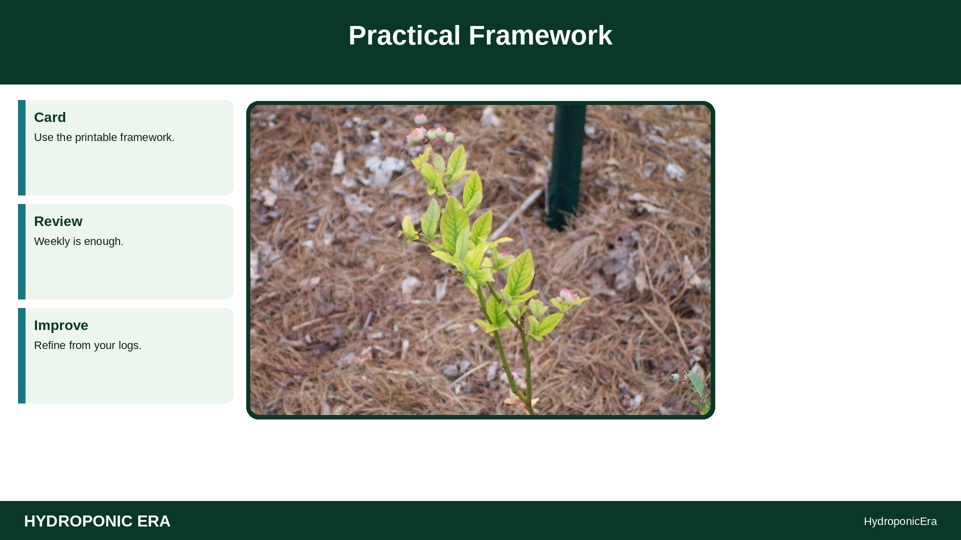 chlorosis after reservoir change — yellow leaves after nutrient change — Practical Framework