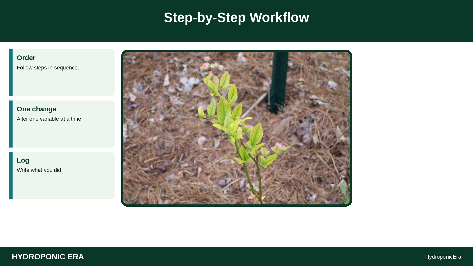chlorosis after reservoir change — yellow leaves after nutrient change — Step-by-Step Workflow