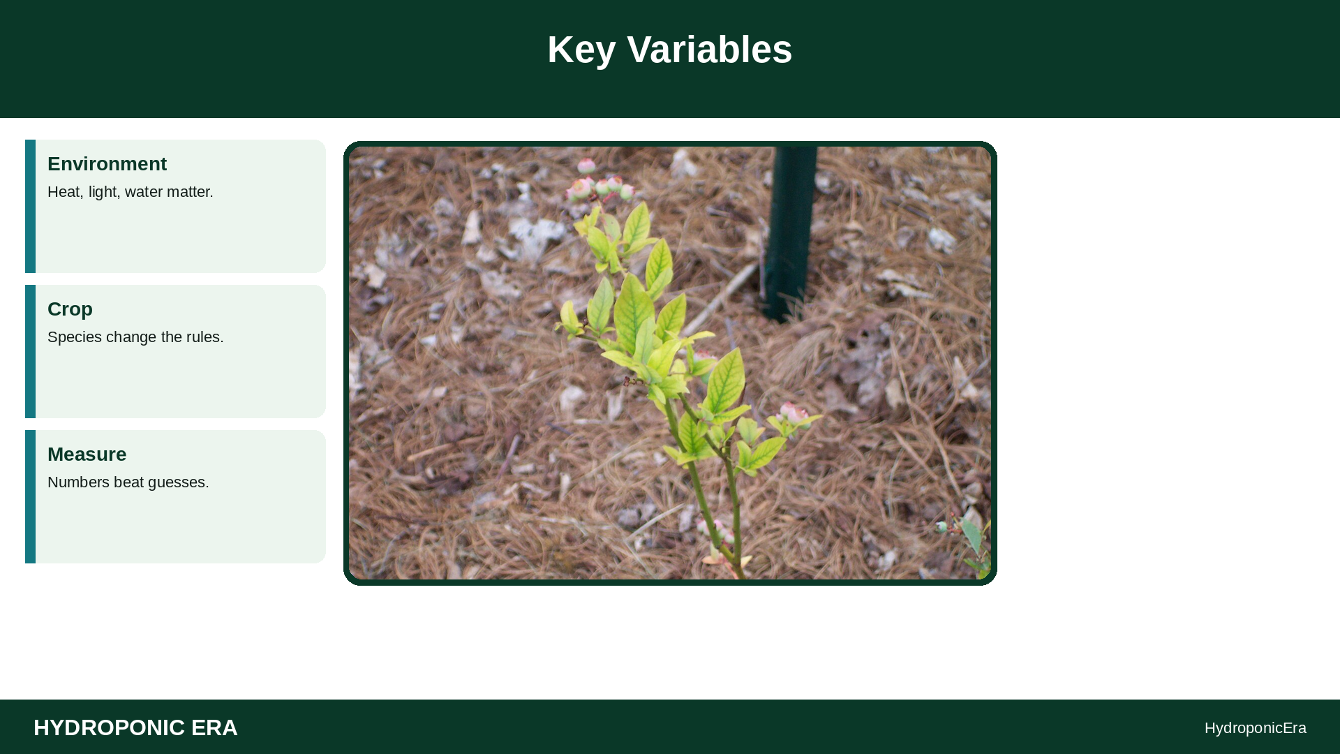 chlorosis after reservoir change — yellow leaves after nutrient change — Key Variables