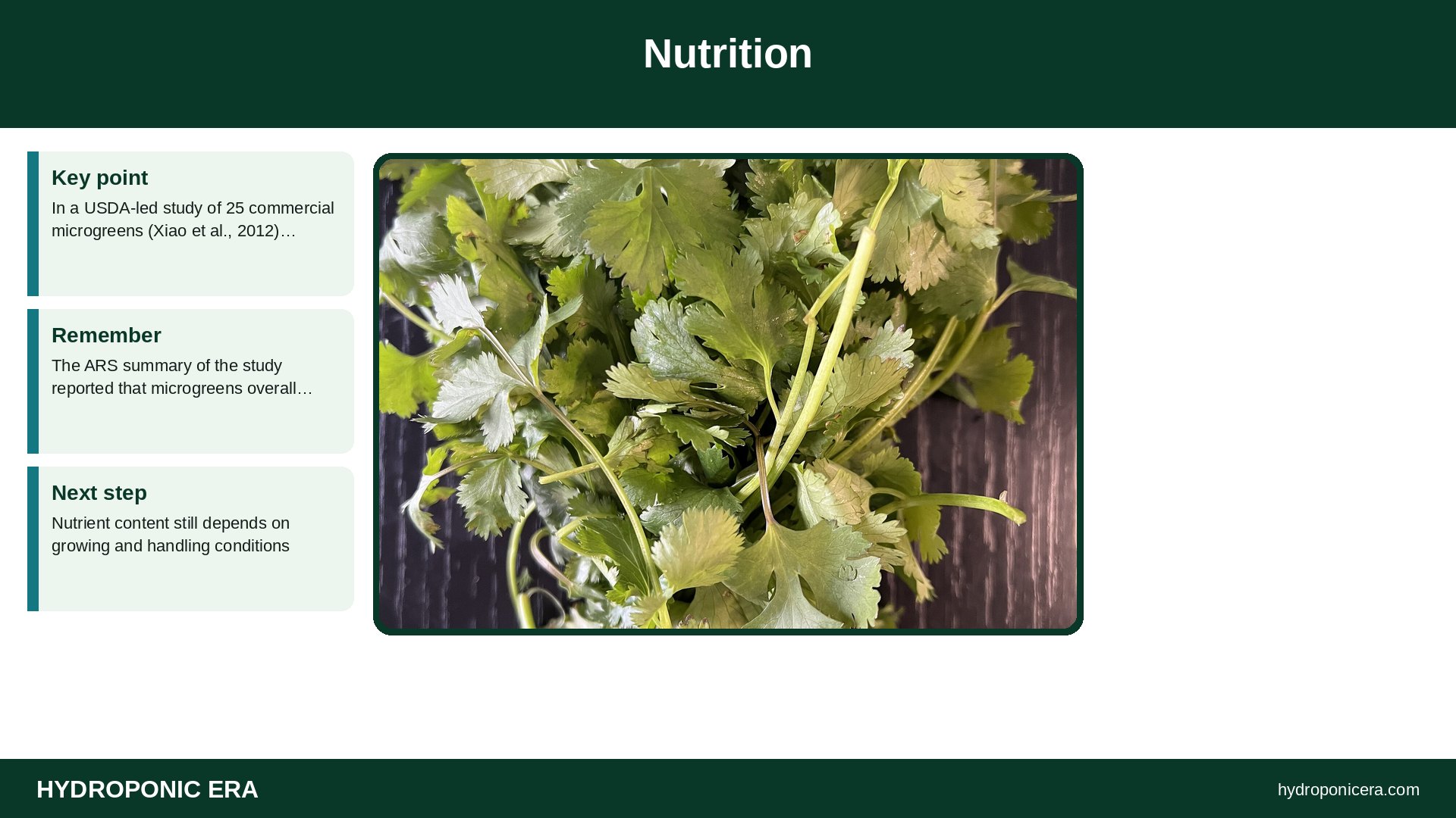 cilantro microgreens — Nutrition