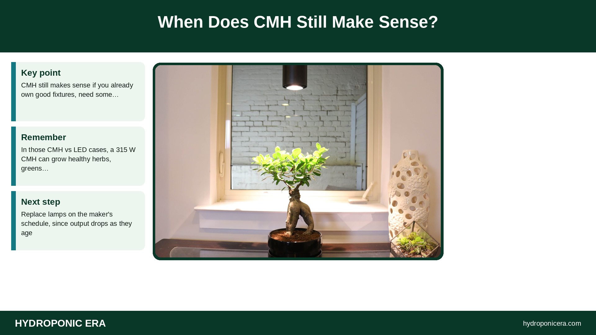 cmh vs led — When Does CMH Still Make Sense?