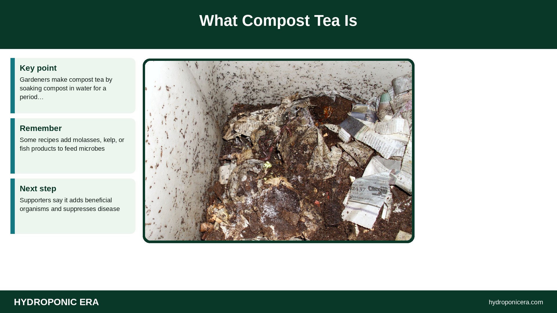 compost tea — What Compost Tea Is