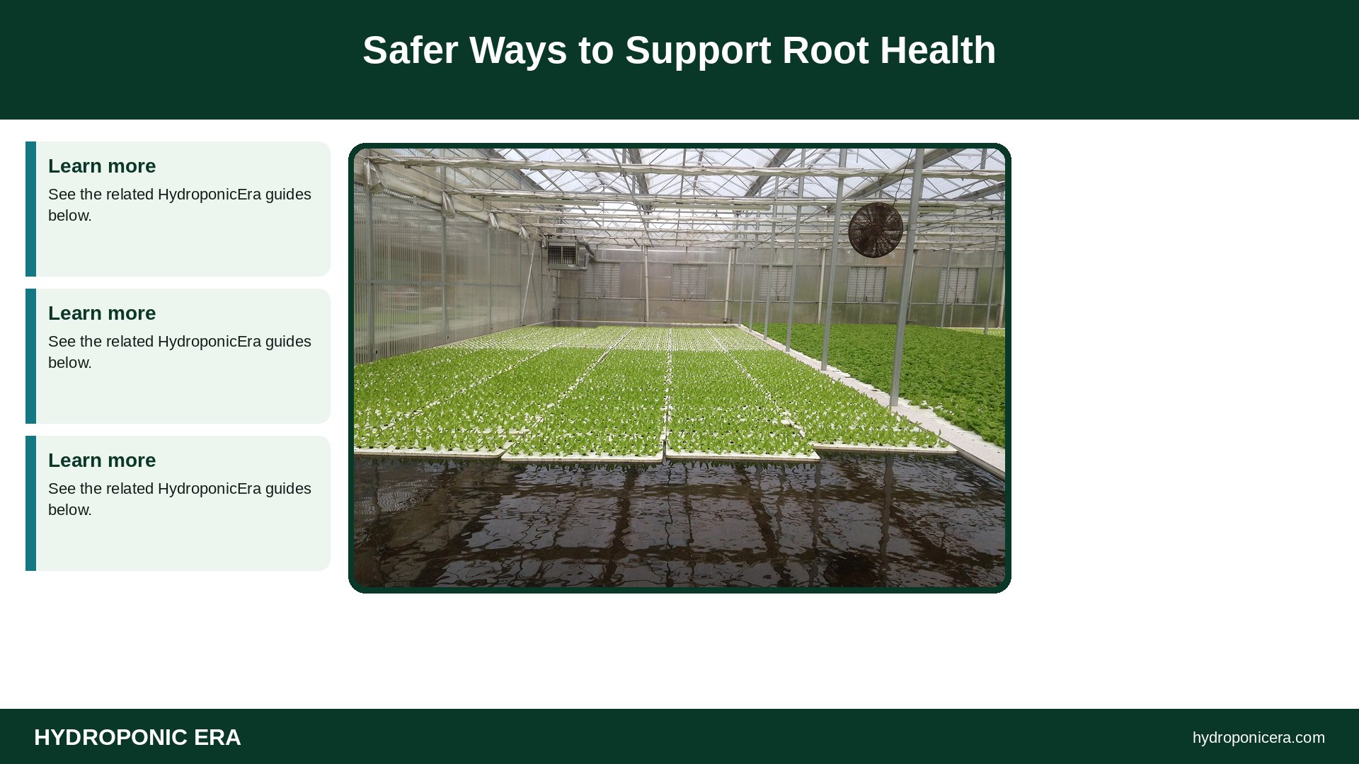 compost tea — Safer Ways to Support Root Health