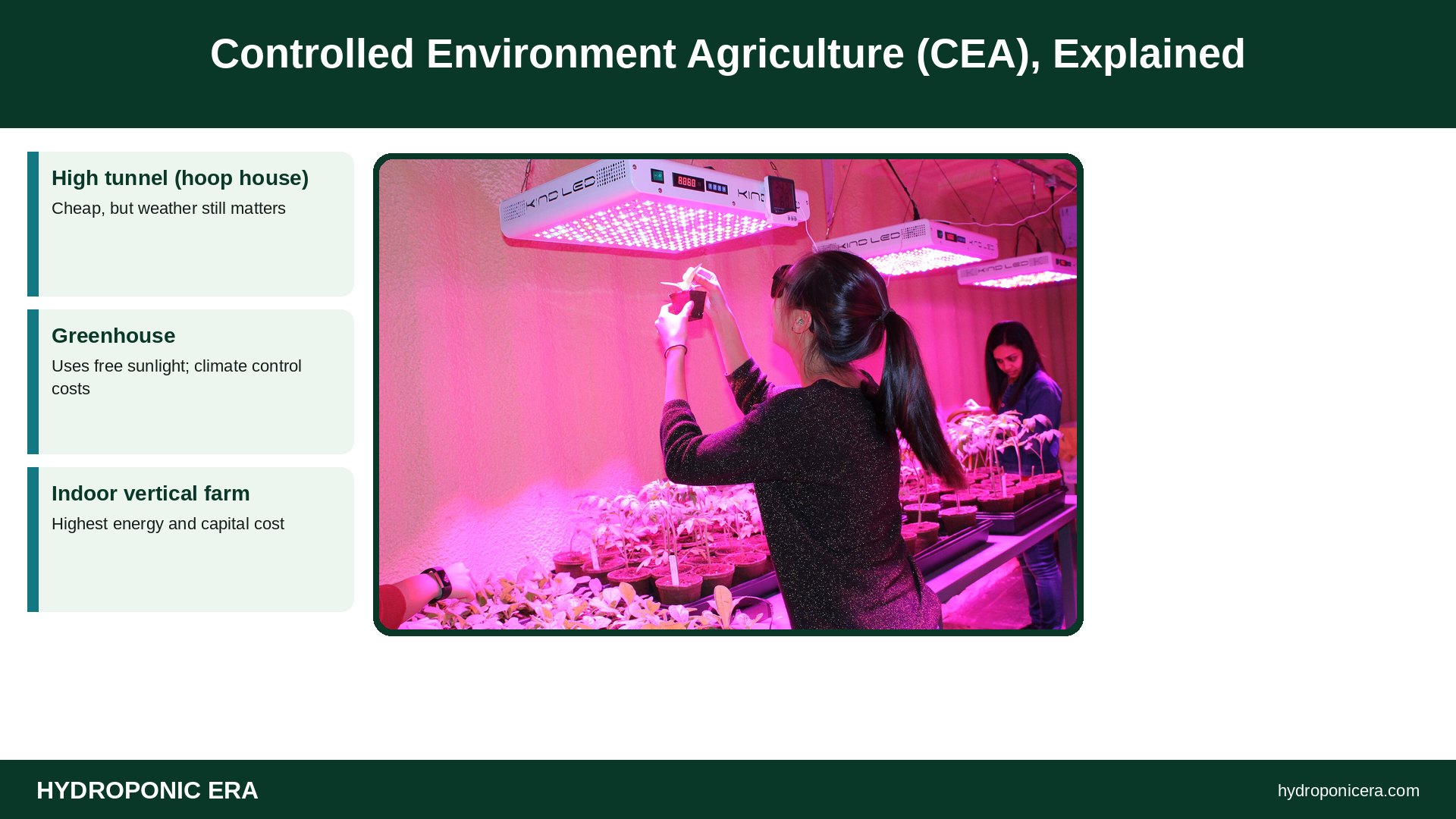 controlled environment agriculture — Controlled Environment Agriculture (CEA), Explained
