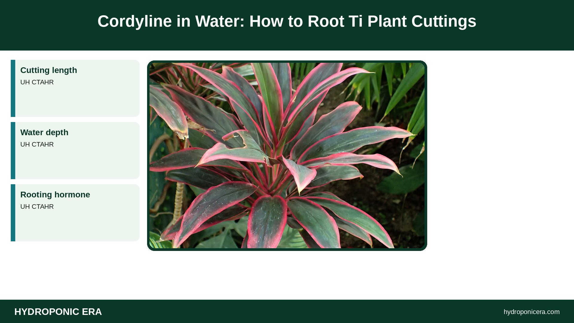 cordyline in water — Cordyline in Water: How to Root Ti Plant Cuttings