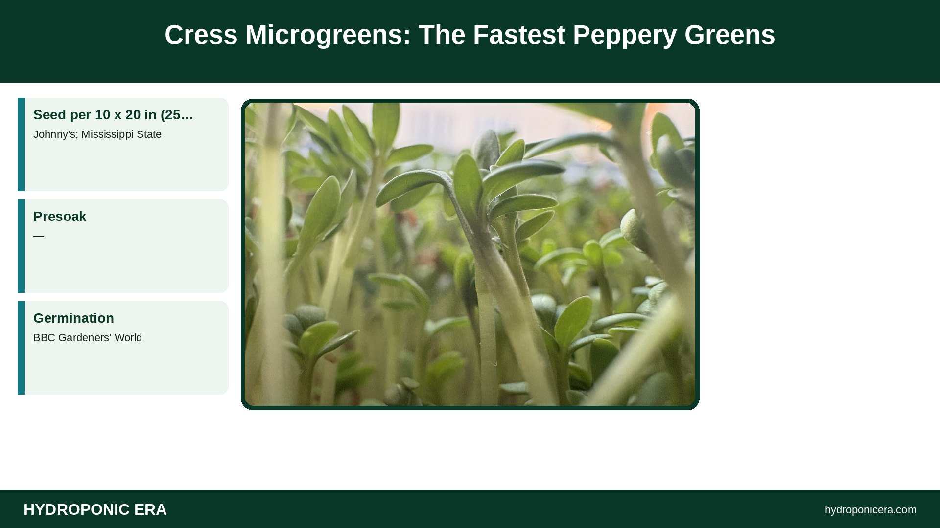 cress microgreens — Cress Microgreens: The Fastest Peppery Greens