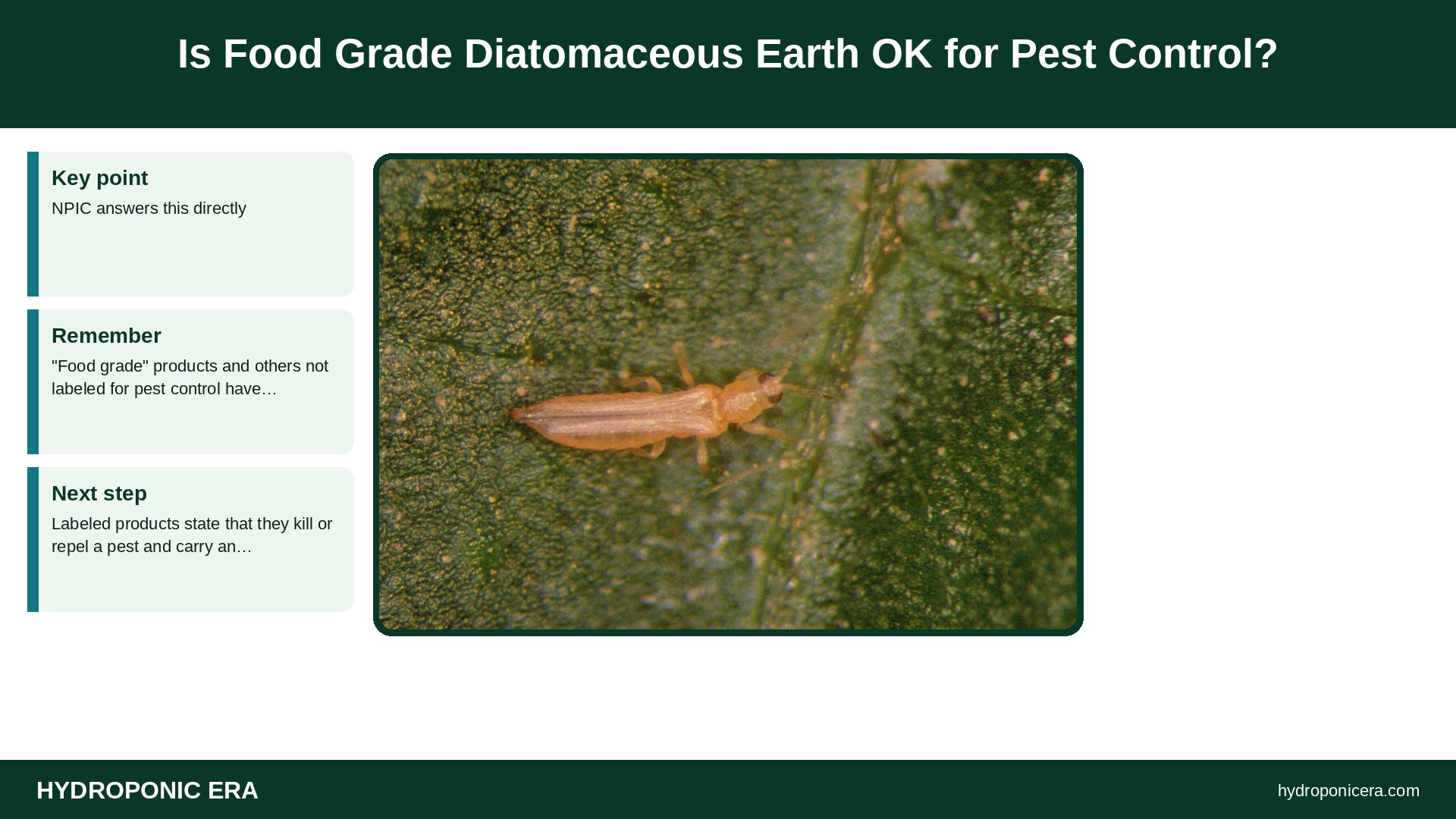 diatomaceous earth for plants — Is Food Grade Diatomaceous Earth OK for Pest Control?