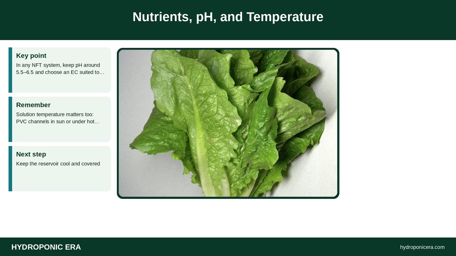 nft system — Nutrients, pH, and Temperature