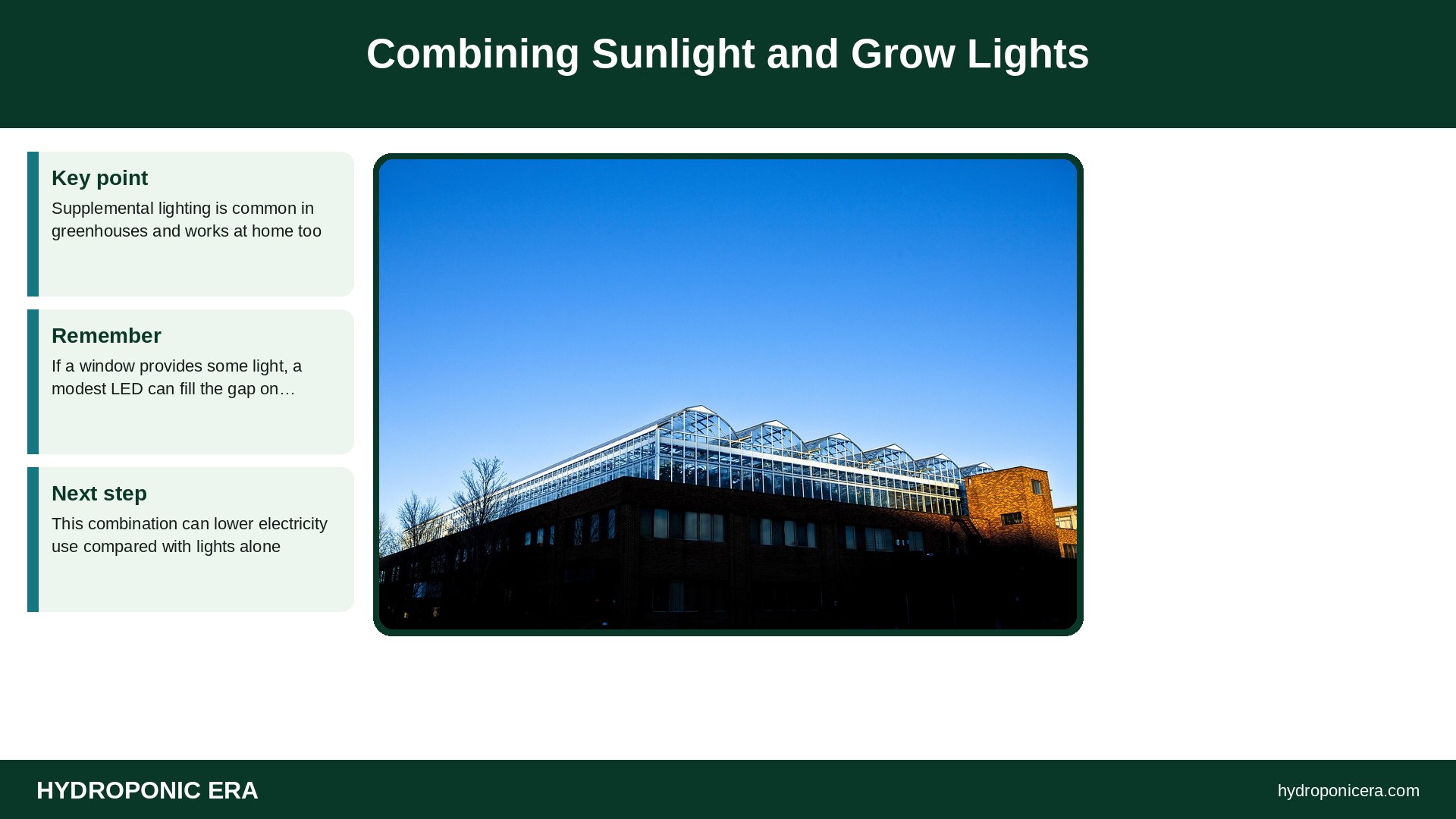 sunlight — Combining Sunlight and Grow Lights