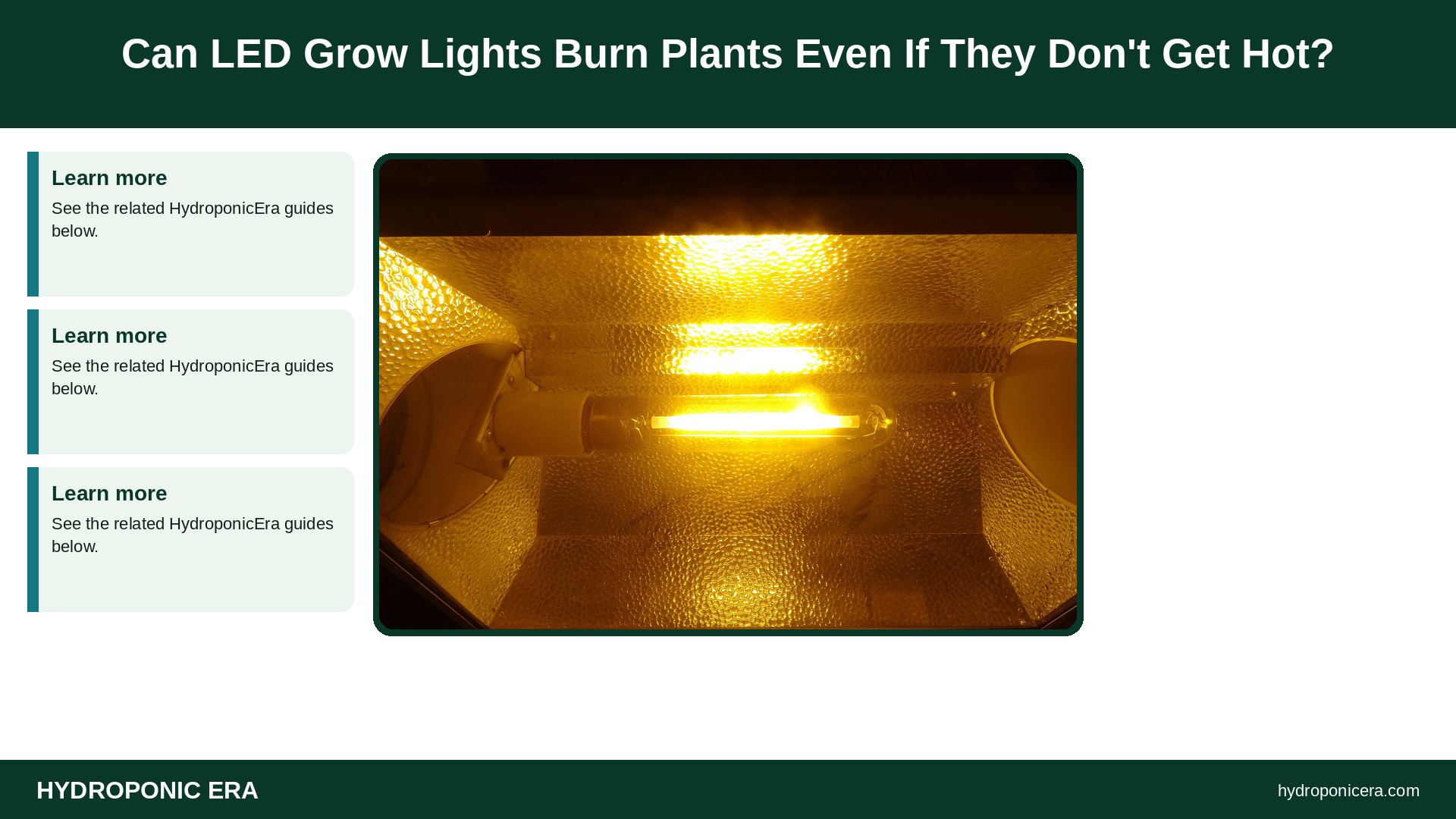 do led grow lights get hot — Can LED Grow Lights Burn Plants Even If They Don't Get Hot?