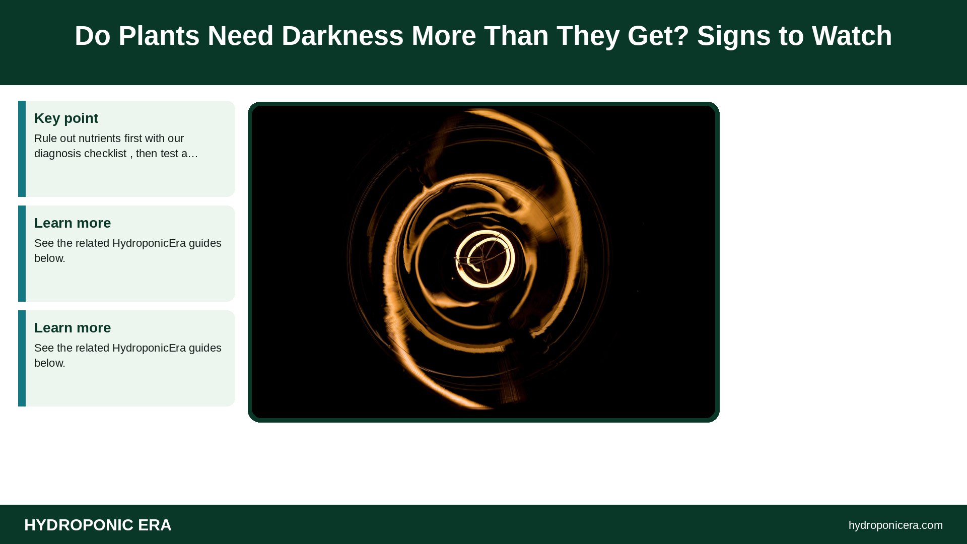 do plants need darkness — Do Plants Need Darkness More Than They Get? Signs to Watch