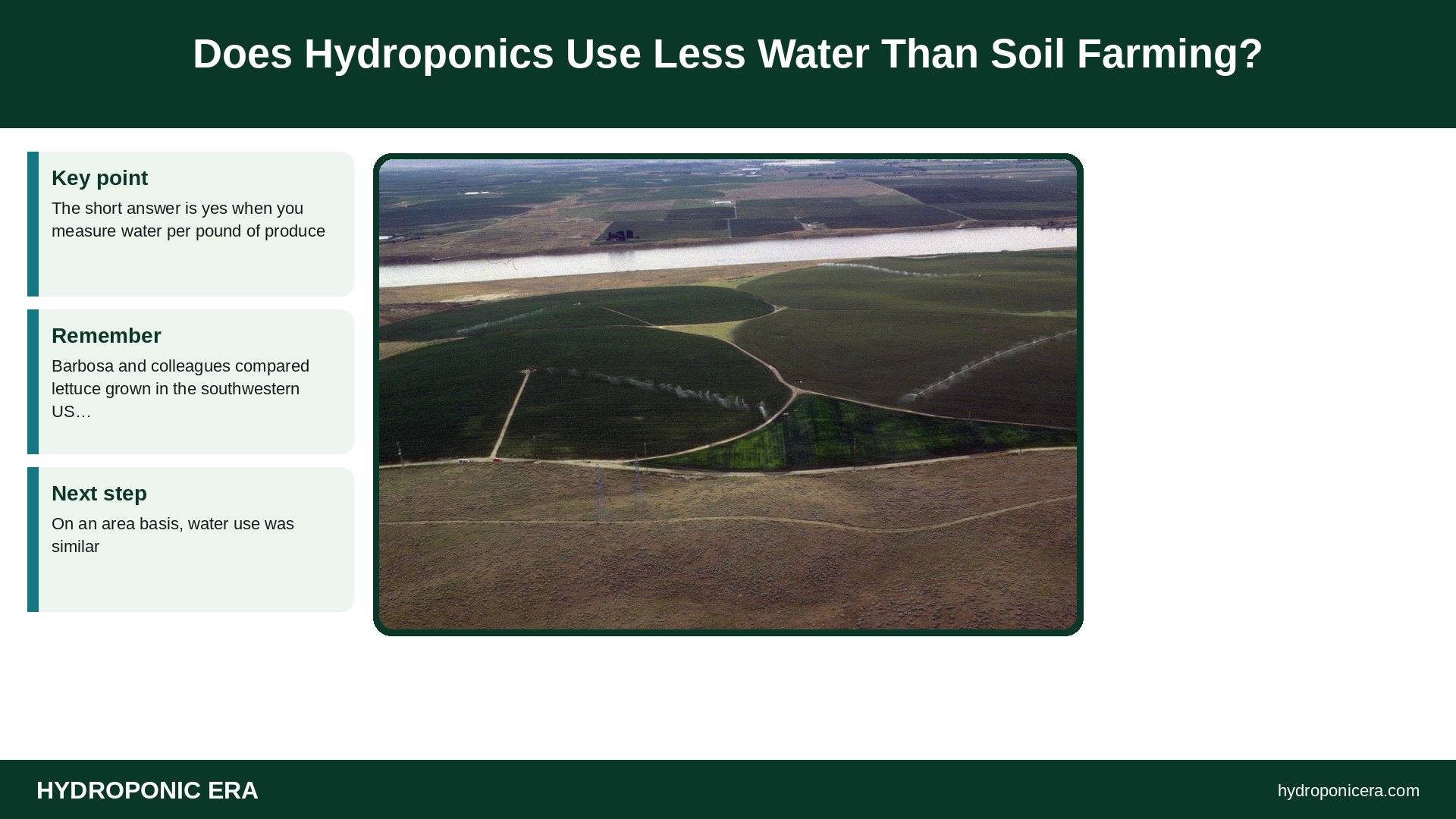 does hydroponics use less water — Does Hydroponics Use Less Water Than Soil Farming?