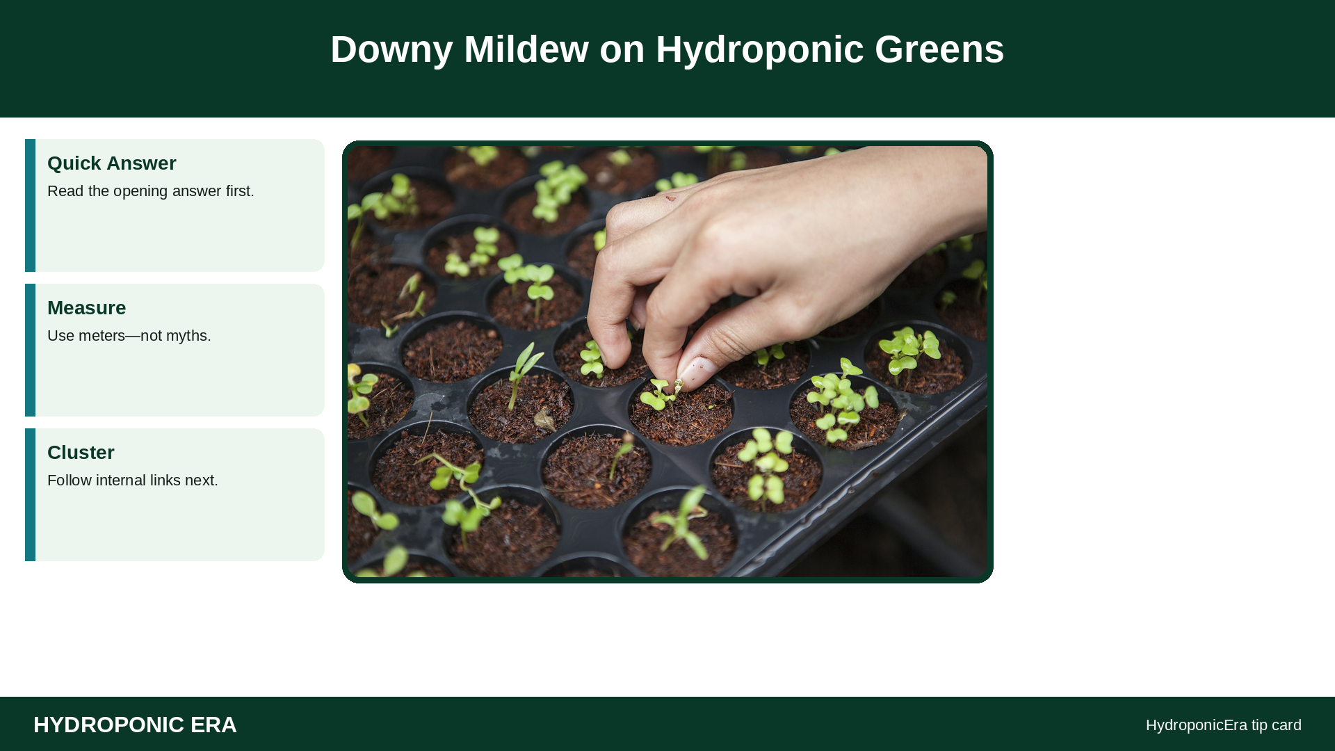 Downy Mildew on Hydroponic Greens — HydroponicEra tip card graphic