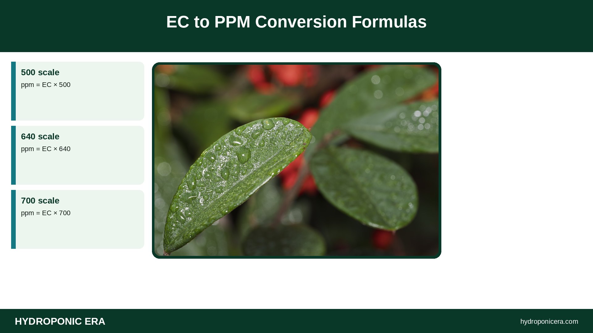 ec to ppm conversion — EC to PPM Conversion Formulas