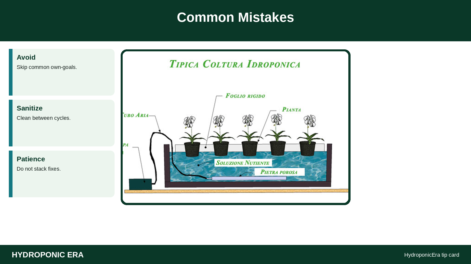 Common Mistakes — HydroponicEra tip card graphic