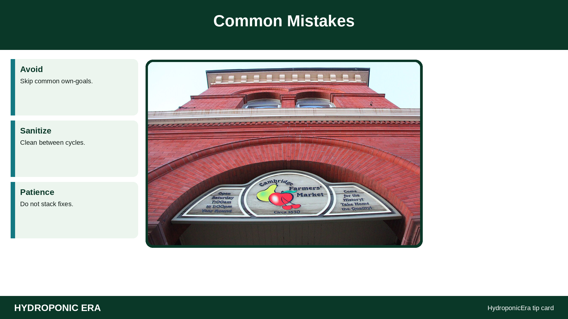Common Mistakes — HydroponicEra tip card graphic