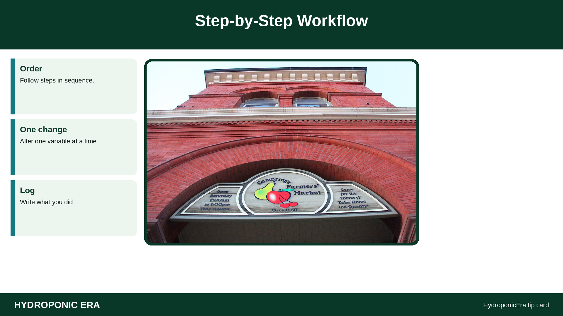 Step-by-Step Workflow — HydroponicEra tip card graphic