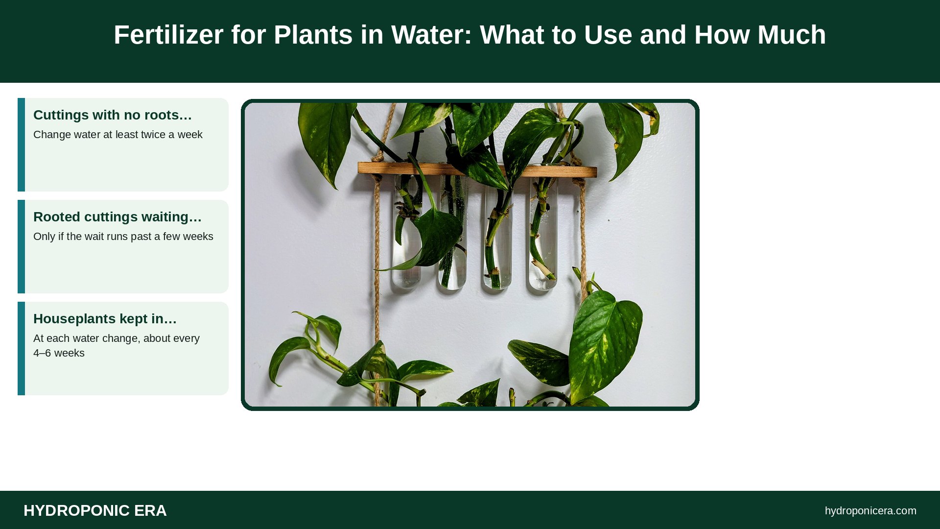 fertilizer for plants in water — Fertilizer for Plants in Water: What to Use and How Much