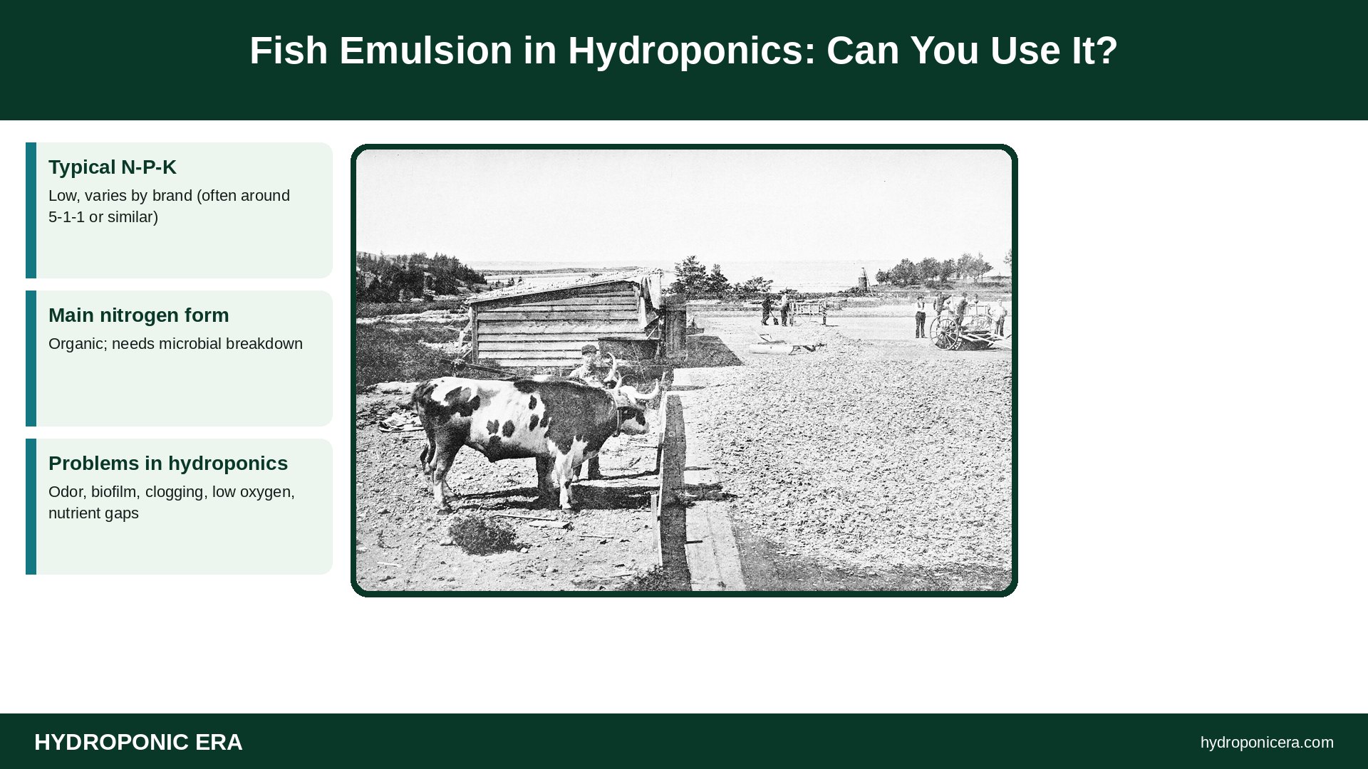 fish emulsion — Fish Emulsion in Hydroponics: Can You Use It?