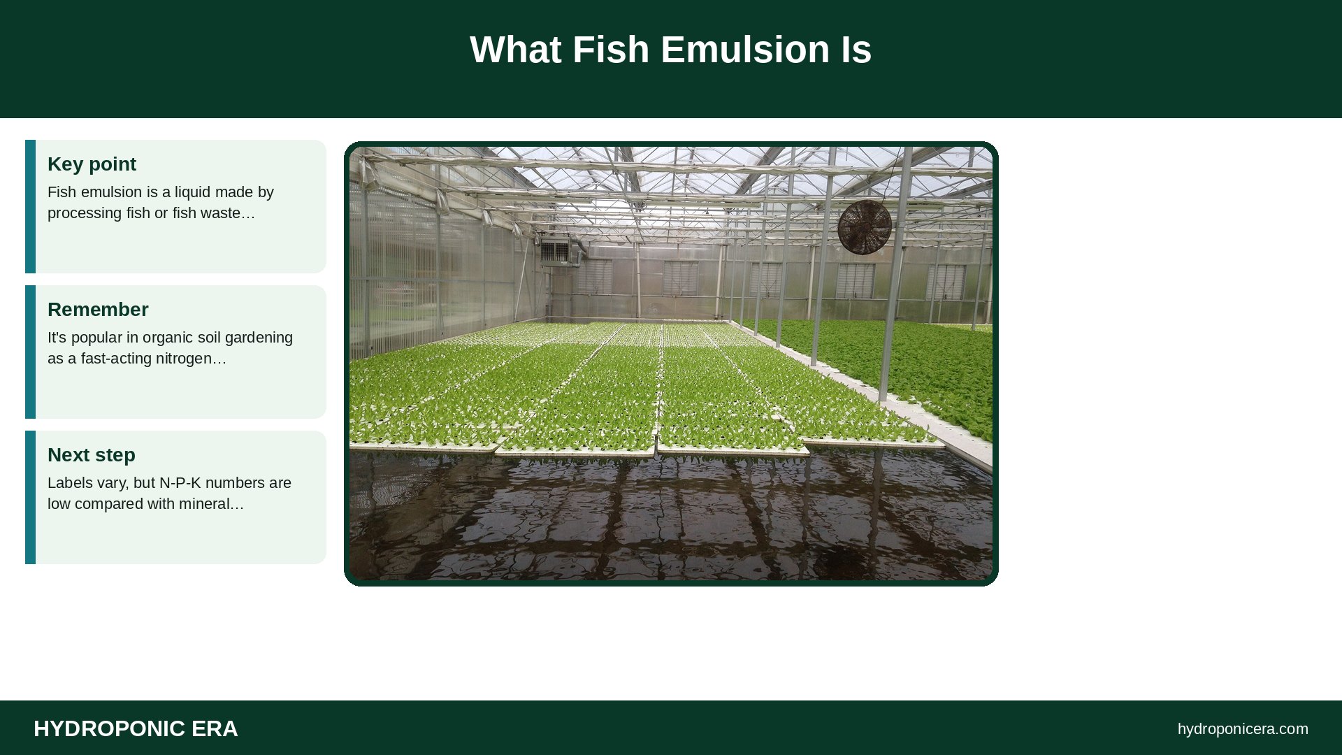 fish emulsion — What Fish Emulsion Is