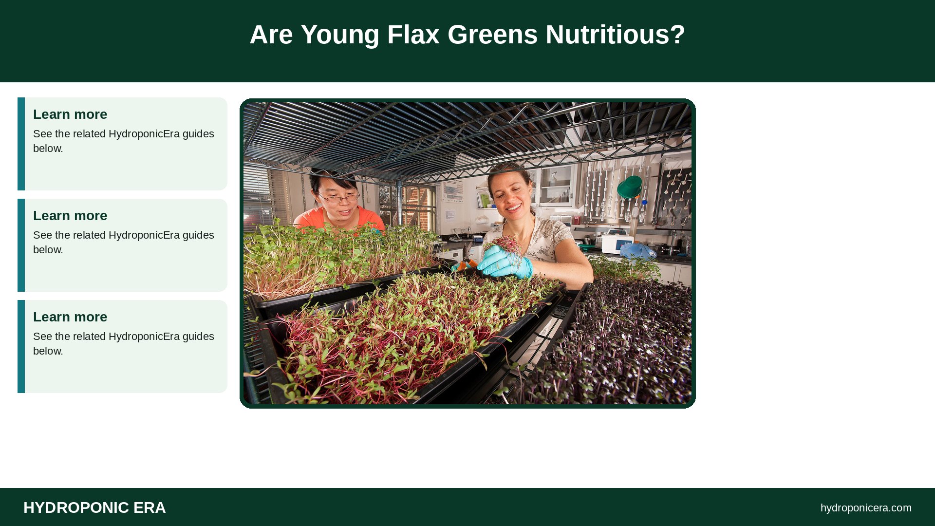 flax microgreens — Are Young Flax Greens Nutritious?