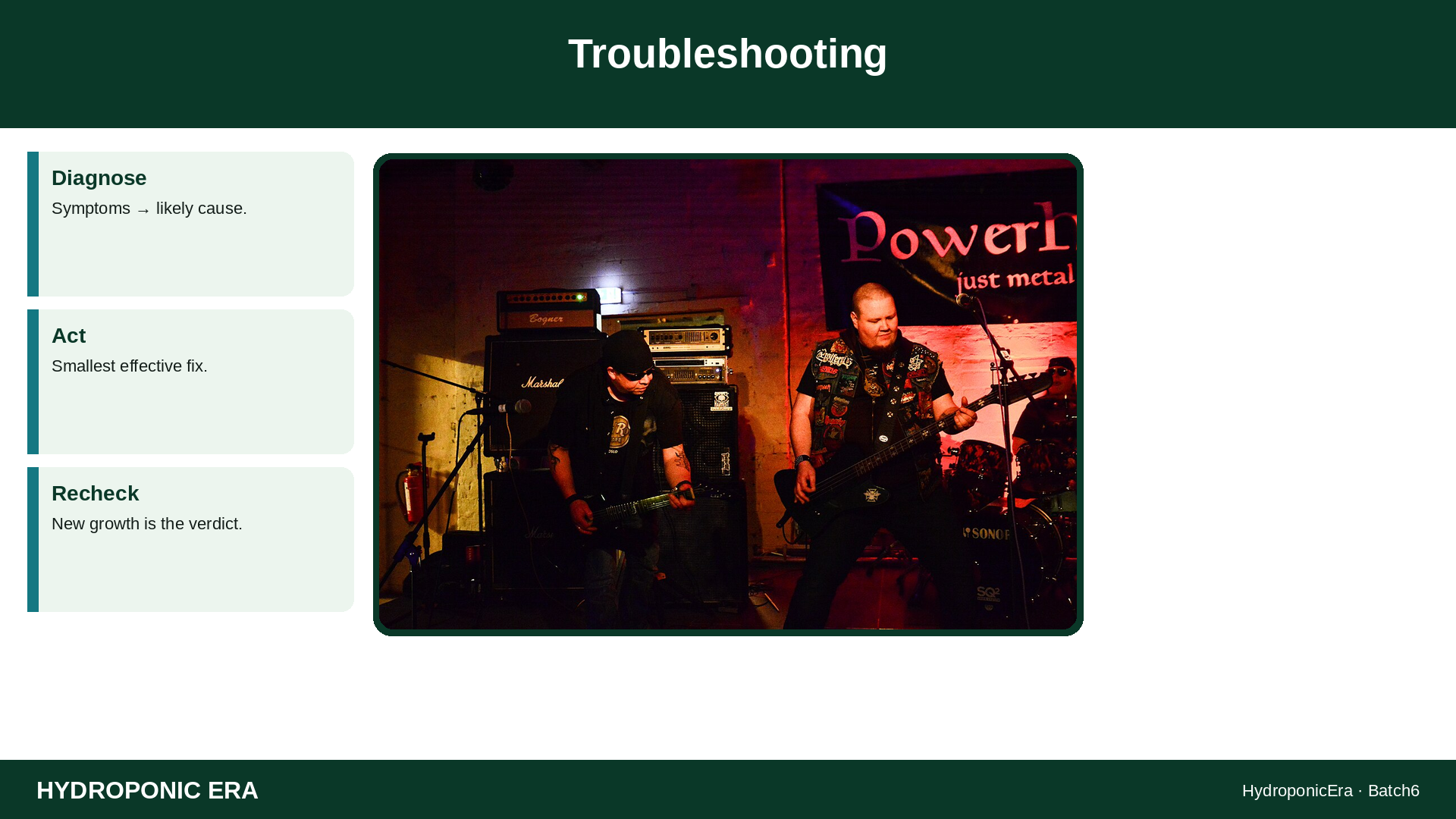 Troubleshooting — HydroponicEra tip card graphic