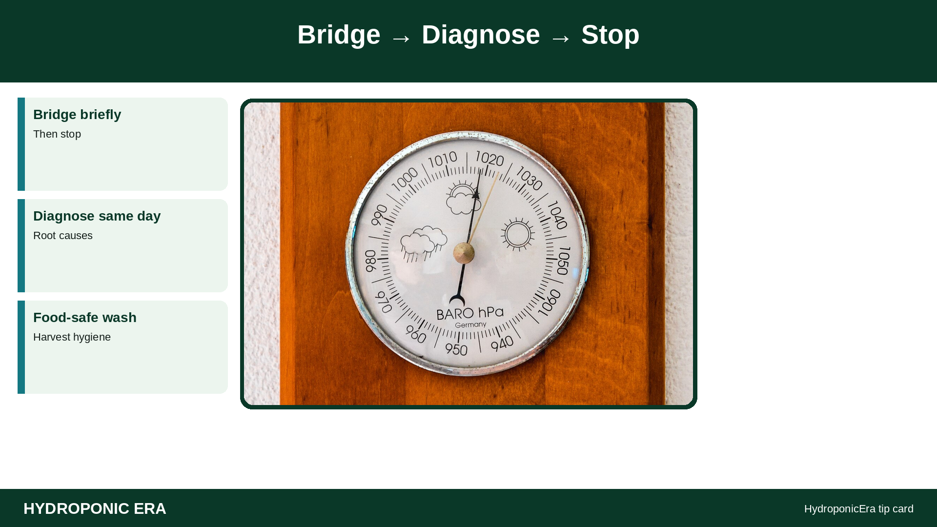 Bridge → Diagnose → Stop — HydroponicEra tip card graphic