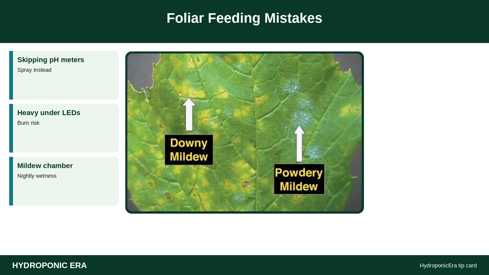 Foliar Feeding Mistakes — HydroponicEra tip card graphic