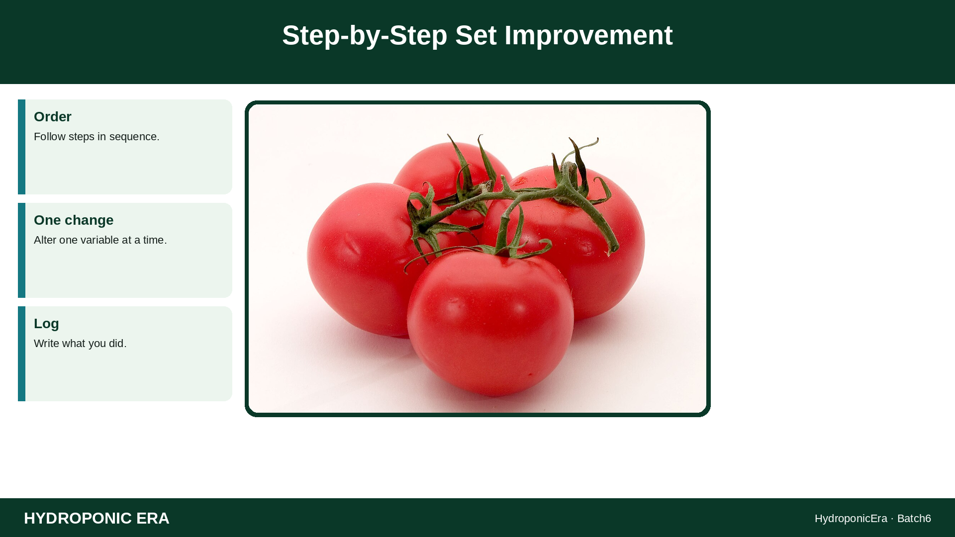 Step-by-Step Set Improvement — HydroponicEra tip card graphic