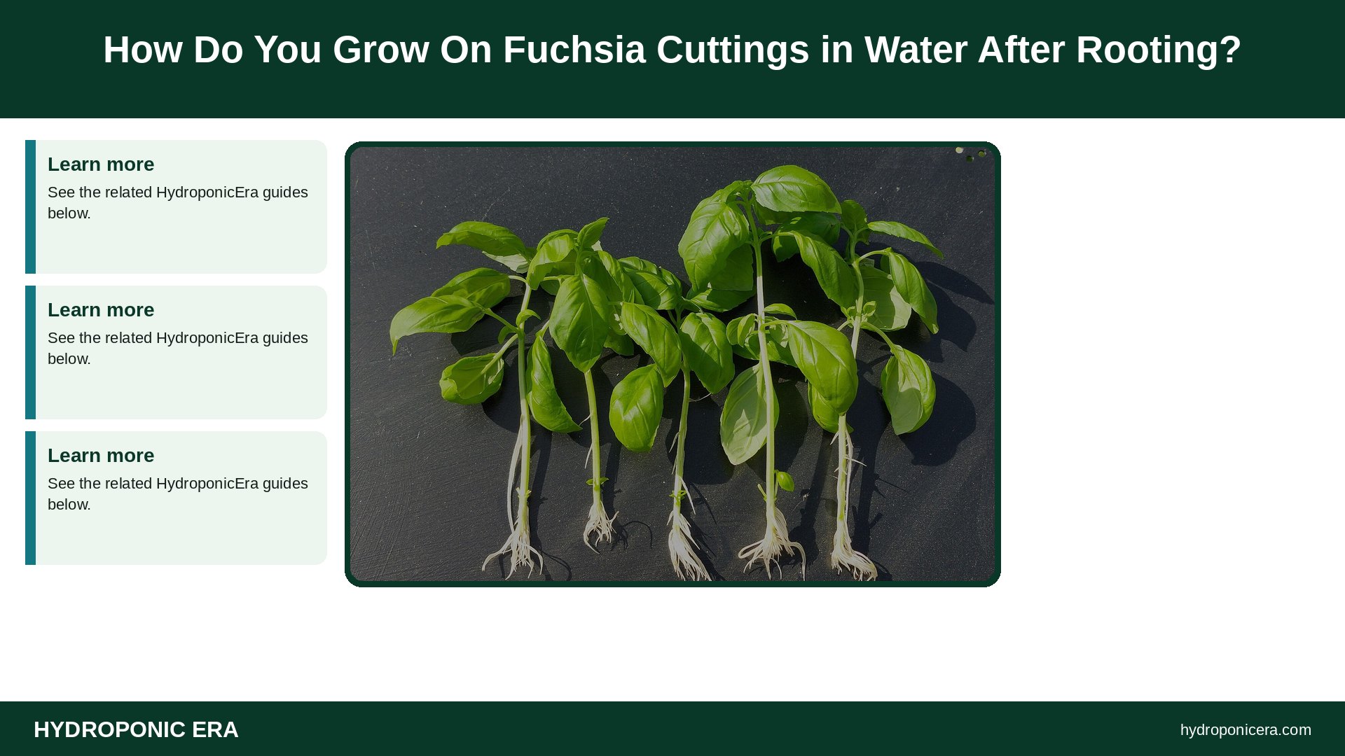 fuchsia cuttings in water — How Do You Grow On Fuchsia Cuttings in Water After Rooting?