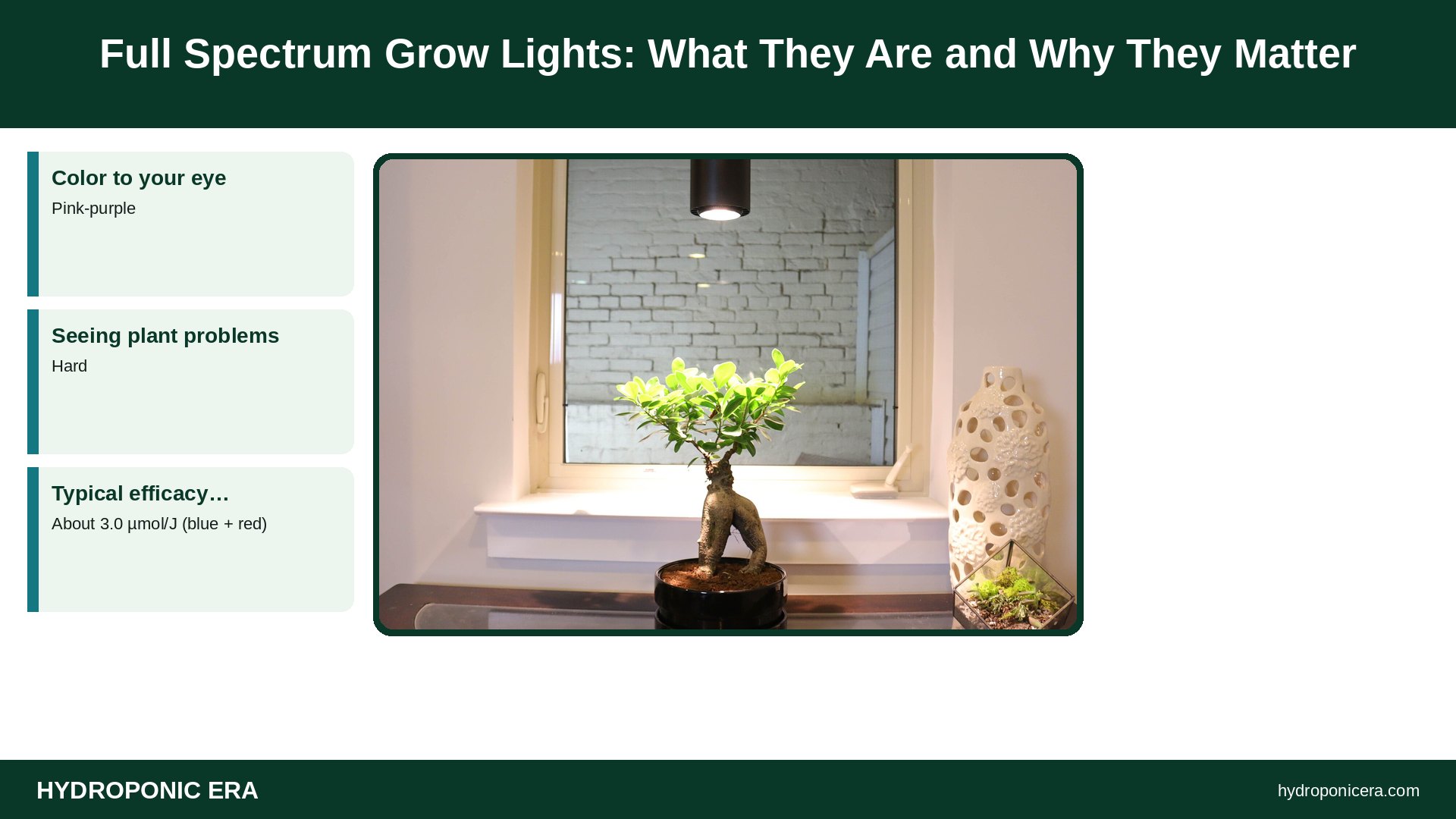 full spectrum grow lights — Full Spectrum Grow Lights: What They Are and Why They Matter