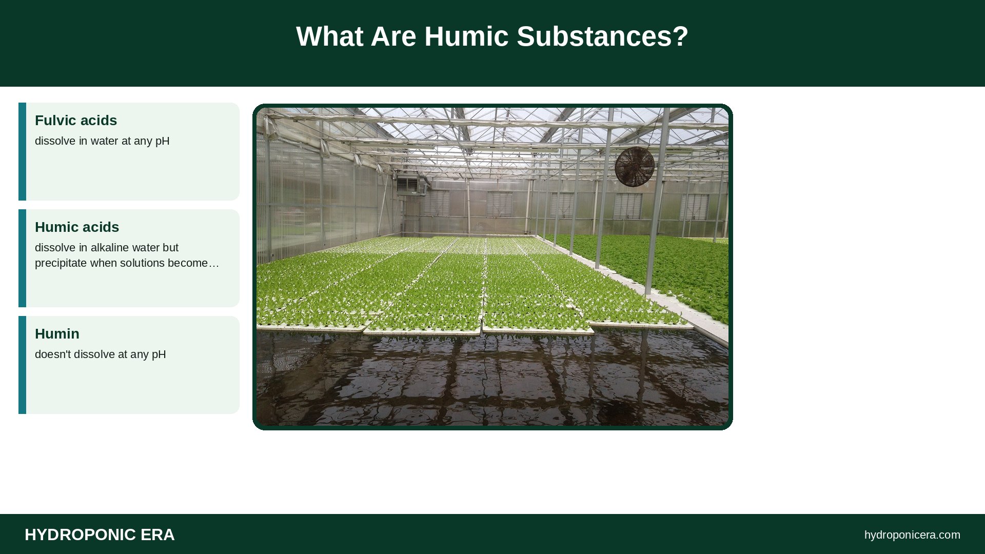 fulvic — What Are Humic Substances?