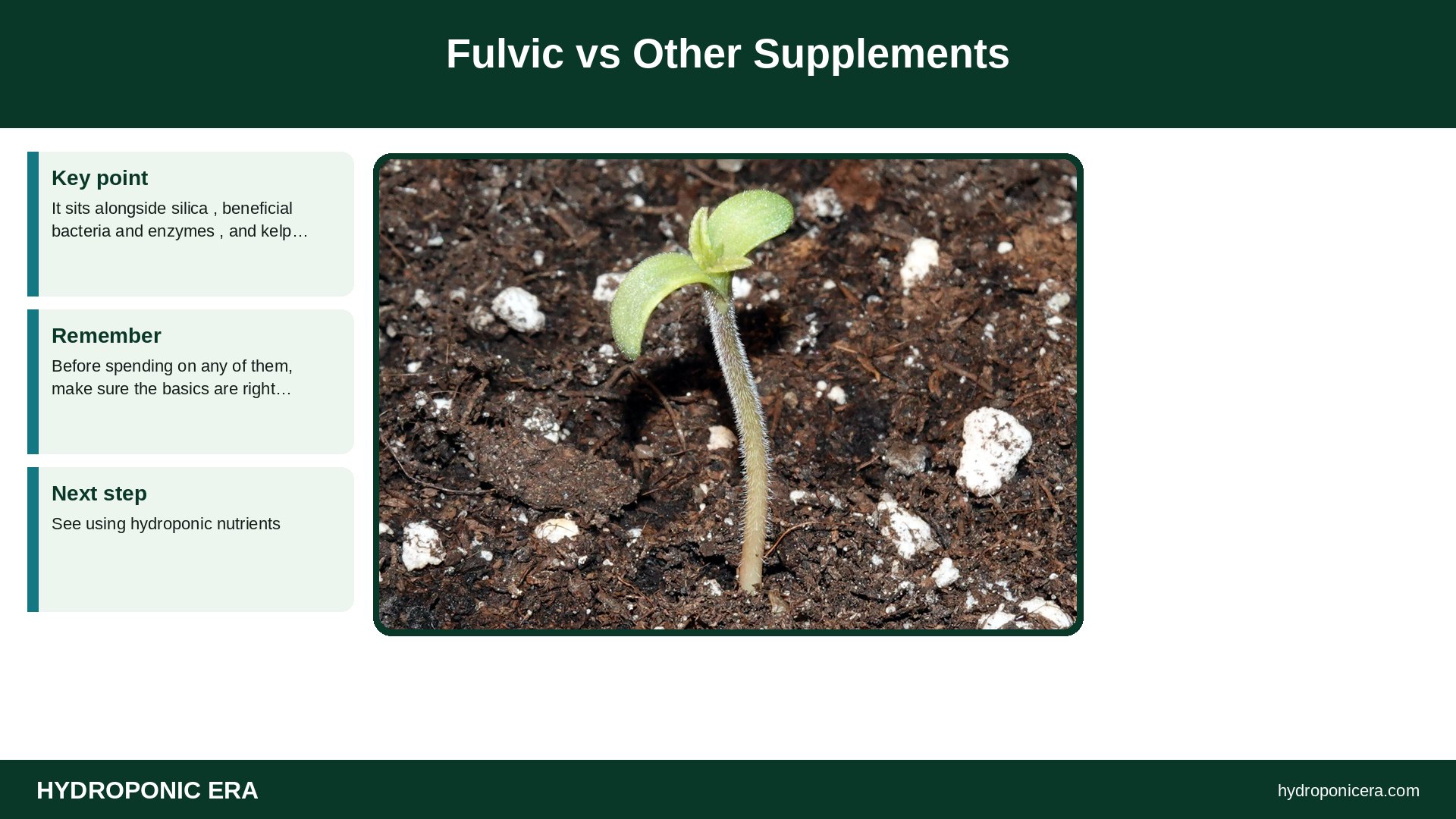 fulvic — Fulvic vs Other Supplements