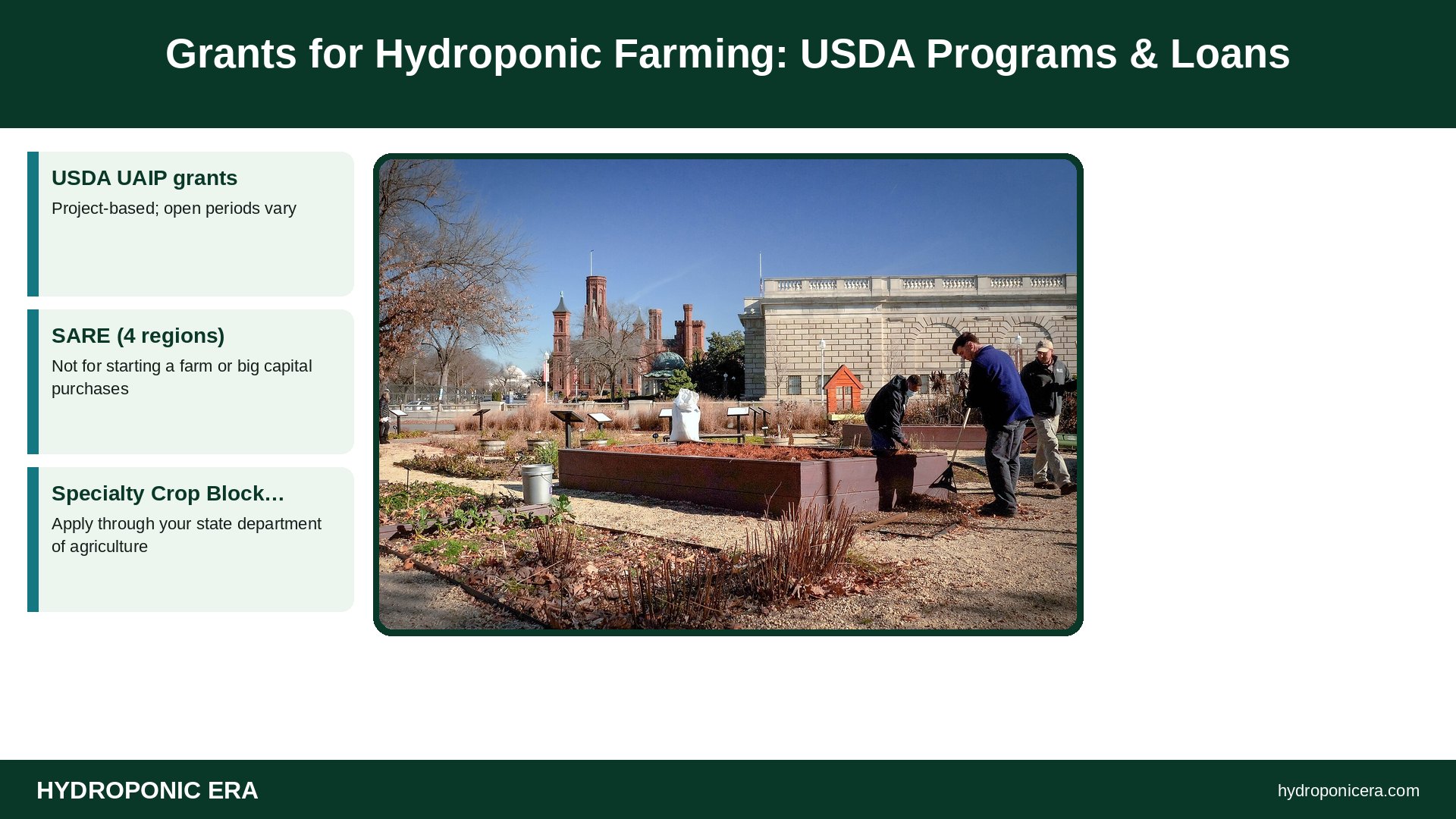 grants for hydroponic farming — Grants for Hydroponic Farming: USDA Programs & Loans
