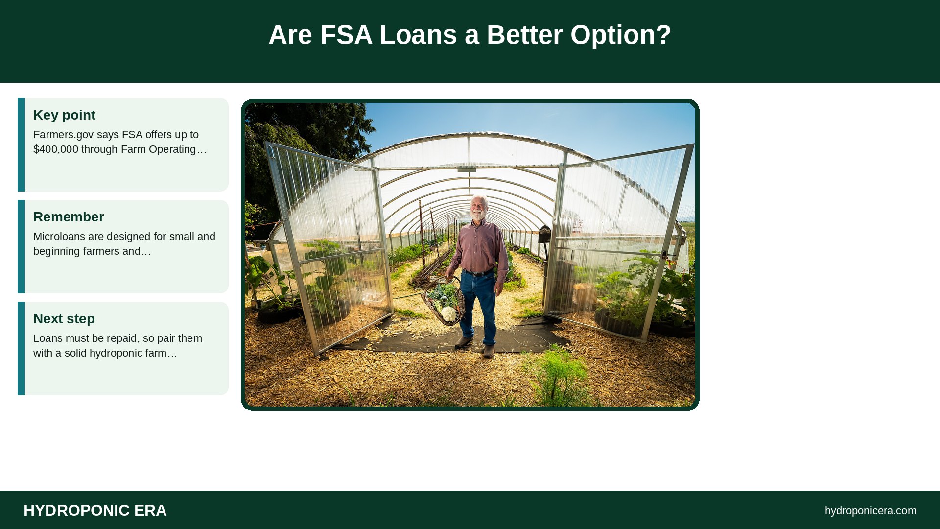 grants for hydroponic farming — Are FSA Loans a Better Option?