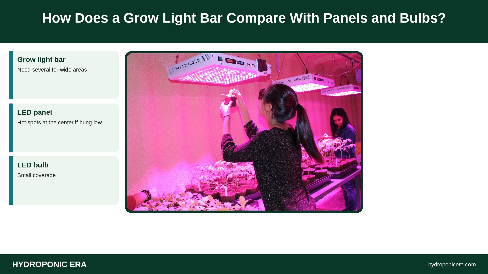 grow light bar — How Does a Grow Light Bar Compare With Panels and Bulbs?