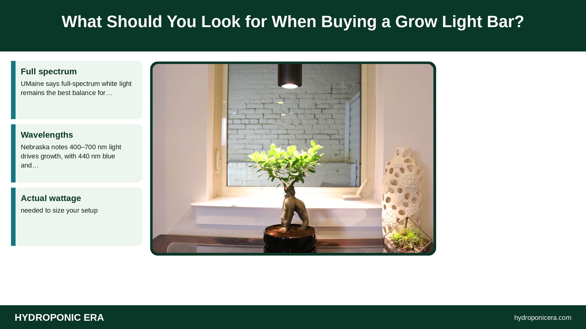 grow light bar — What Should You Look for When Buying a Grow Light Bar?