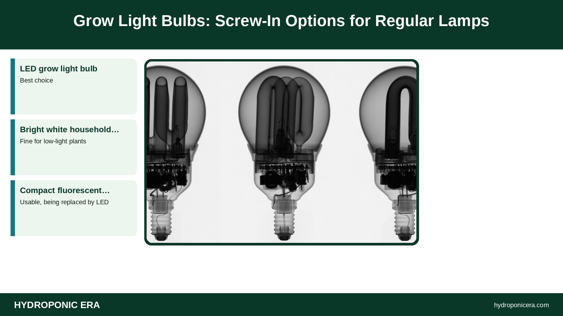grow light bulbs — Grow Light Bulbs: Screw-In Options for Regular Lamps