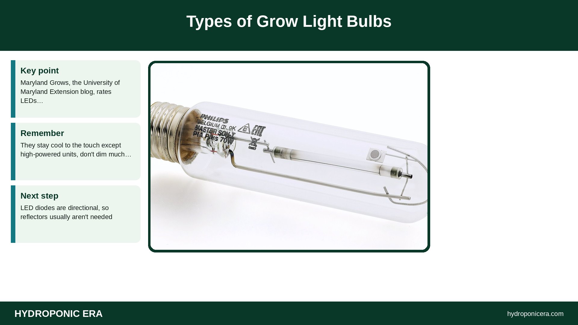 grow light bulbs — Types of Grow Light Bulbs