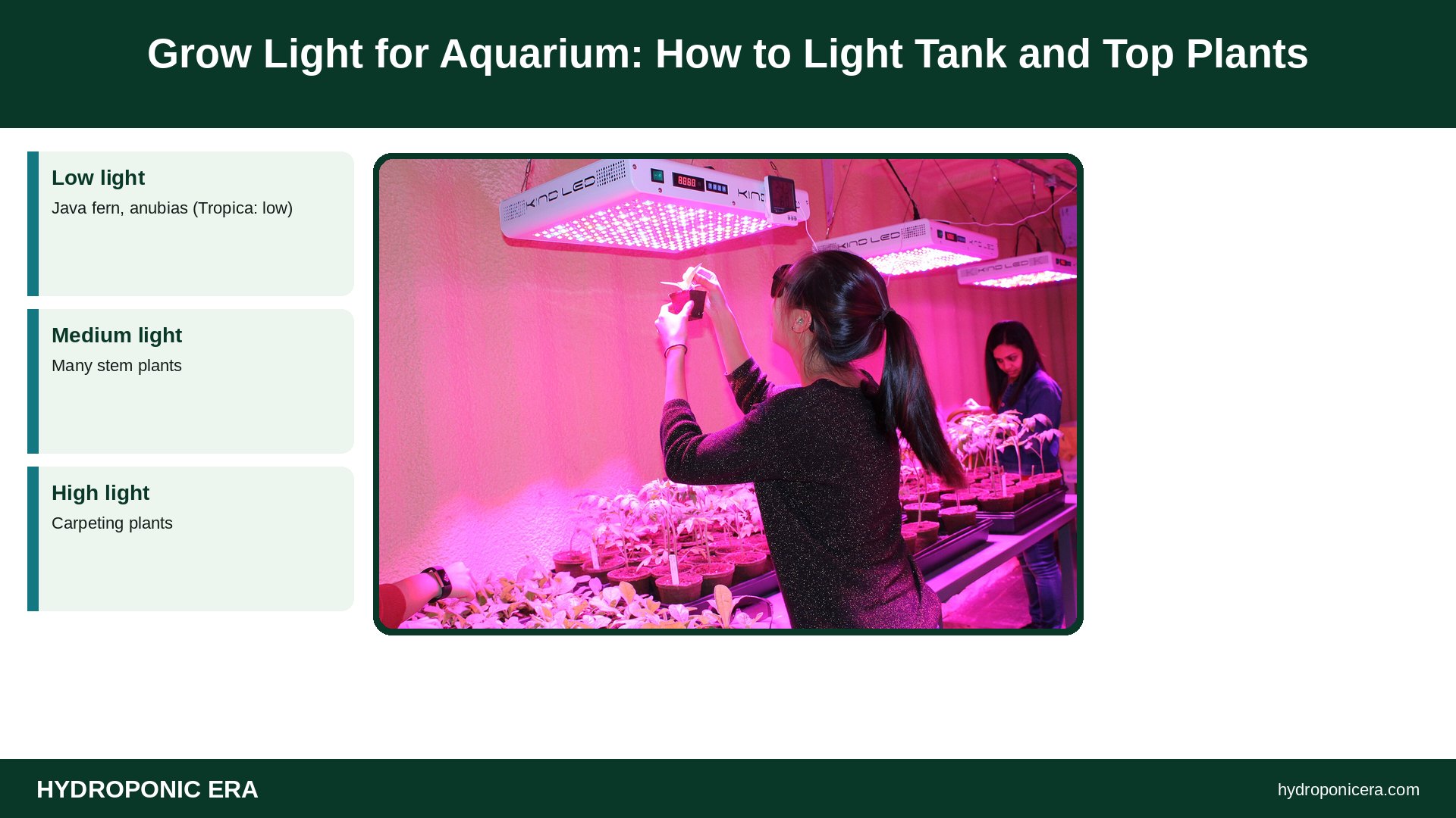 grow light for aquarium — Grow Light for Aquarium: How to Light Tank and Top Plants