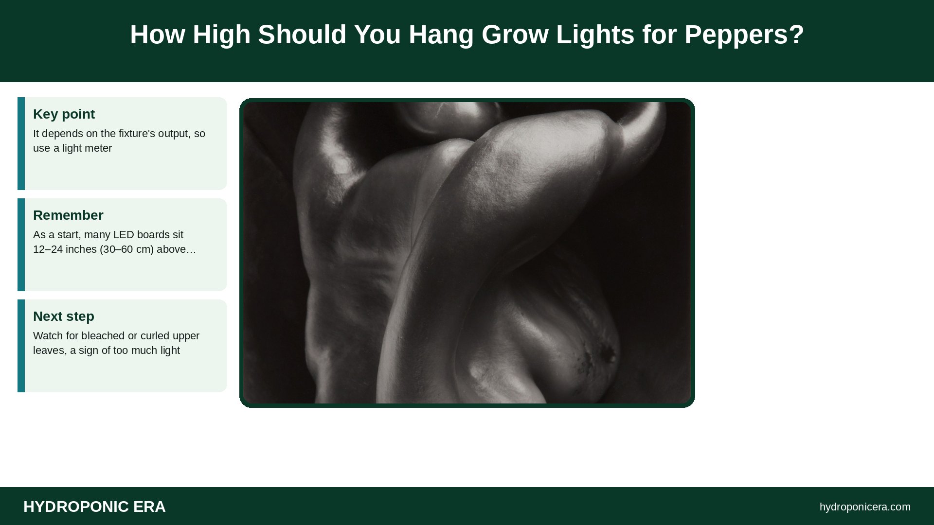 grow lights for peppers — How High Should You Hang Grow Lights for Peppers?
