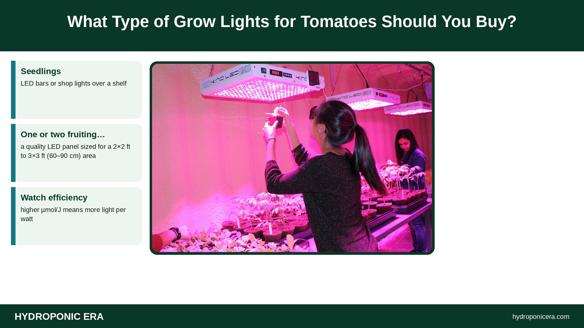grow lights for tomatoes — What Type of Grow Lights for Tomatoes Should You Buy?